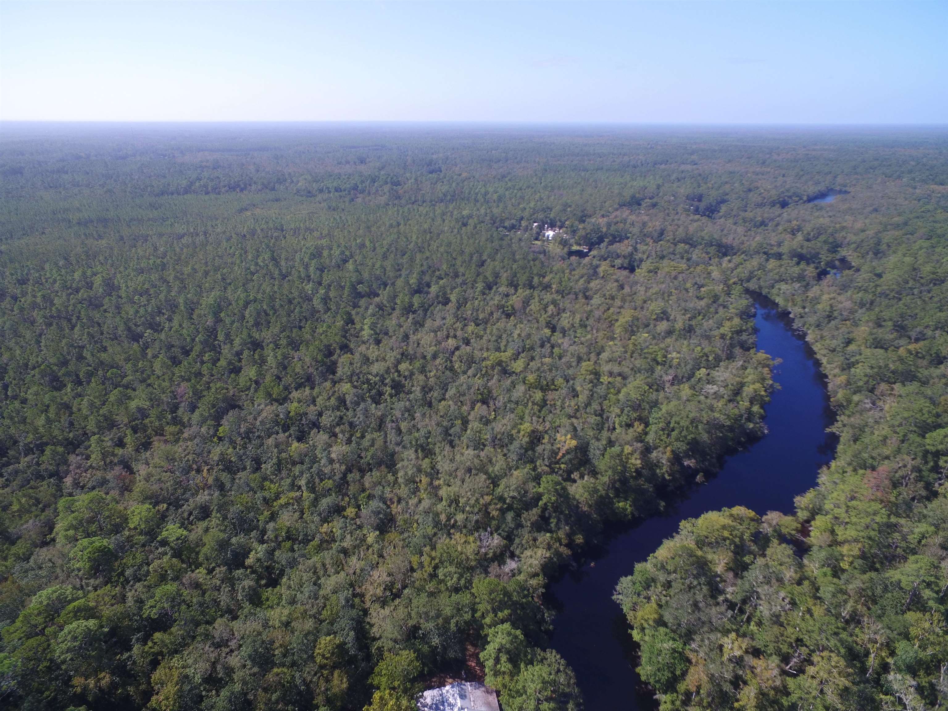 142 Beasley Road Sopchoppy, FL 32358 - Photo 5 of 42