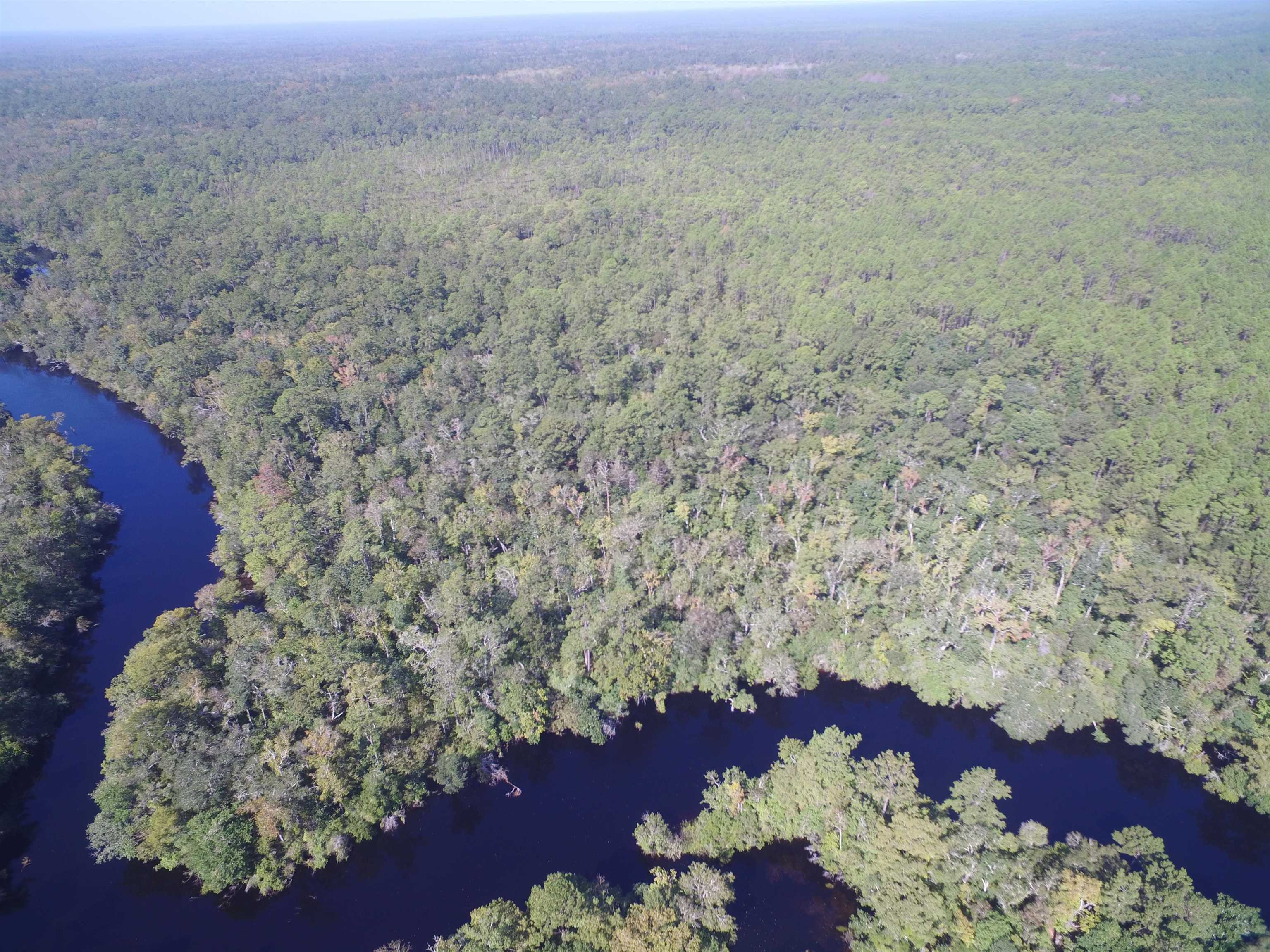 142 Beasley Road Sopchoppy, FL 32358 - Photo 6 of 42