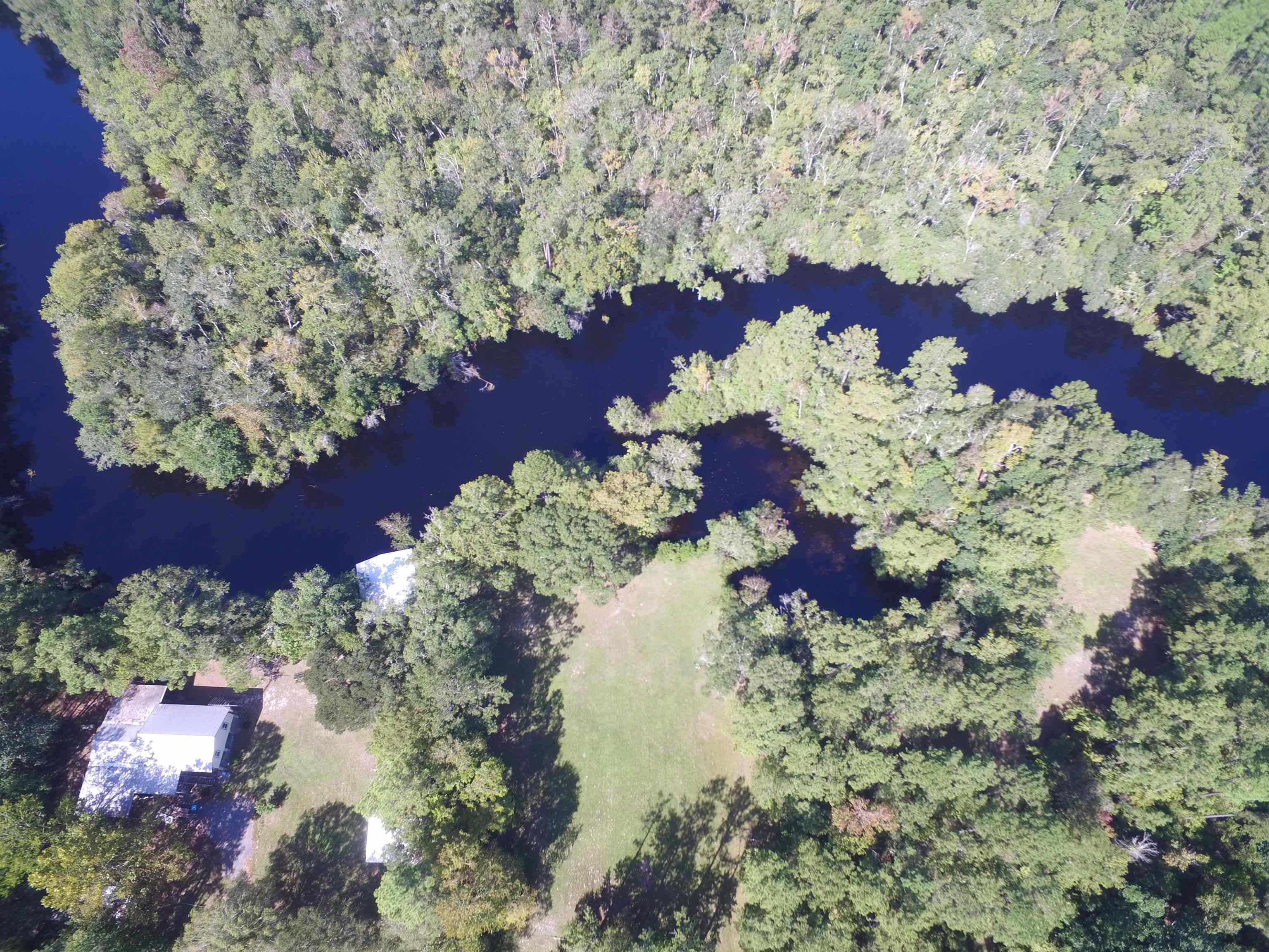 142 Beasley Road Sopchoppy, FL 32358 - Photo 7 of 42