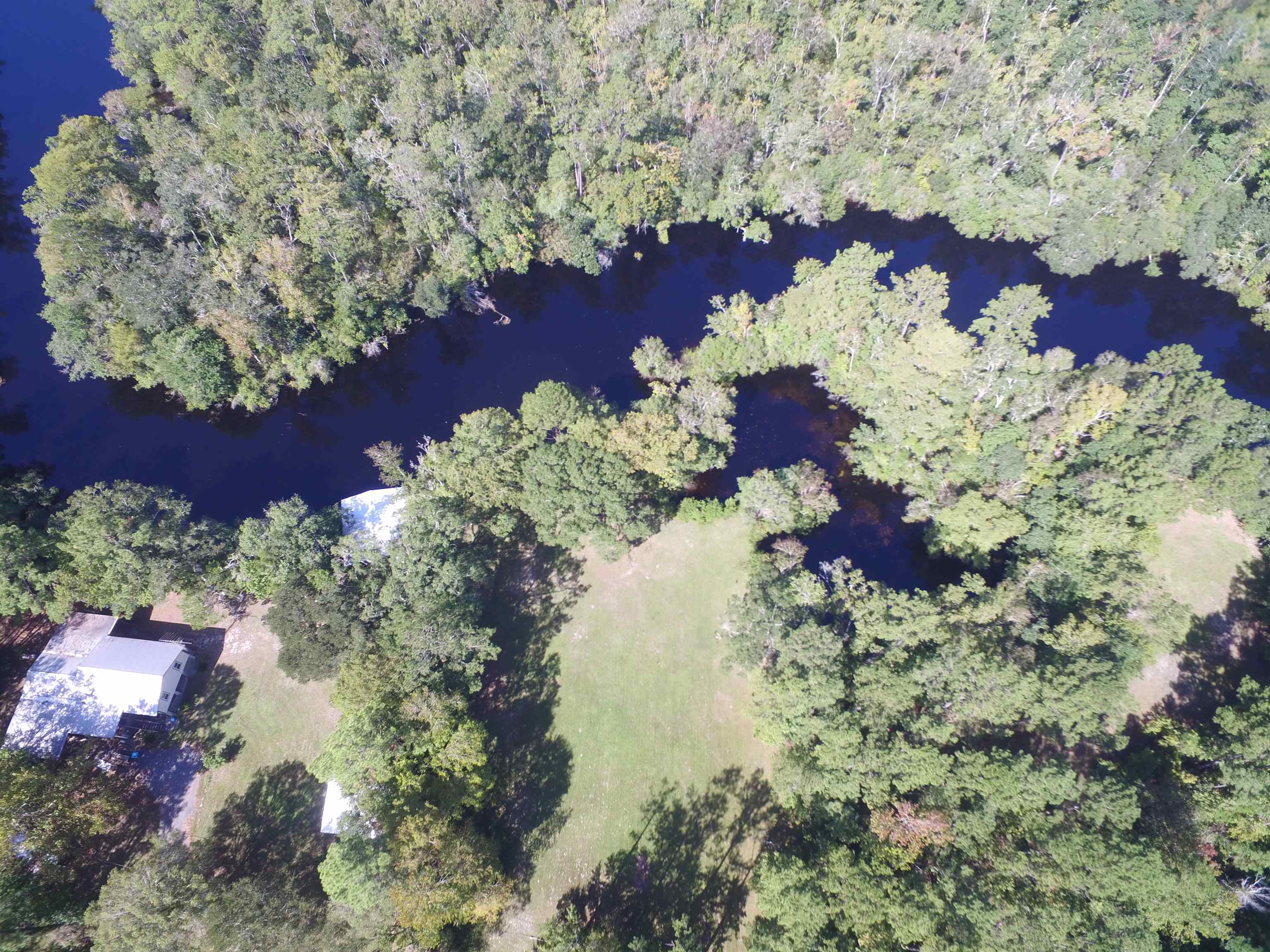 142 Beasley Road Sopchoppy, FL 32358 - Photo 8 of 42