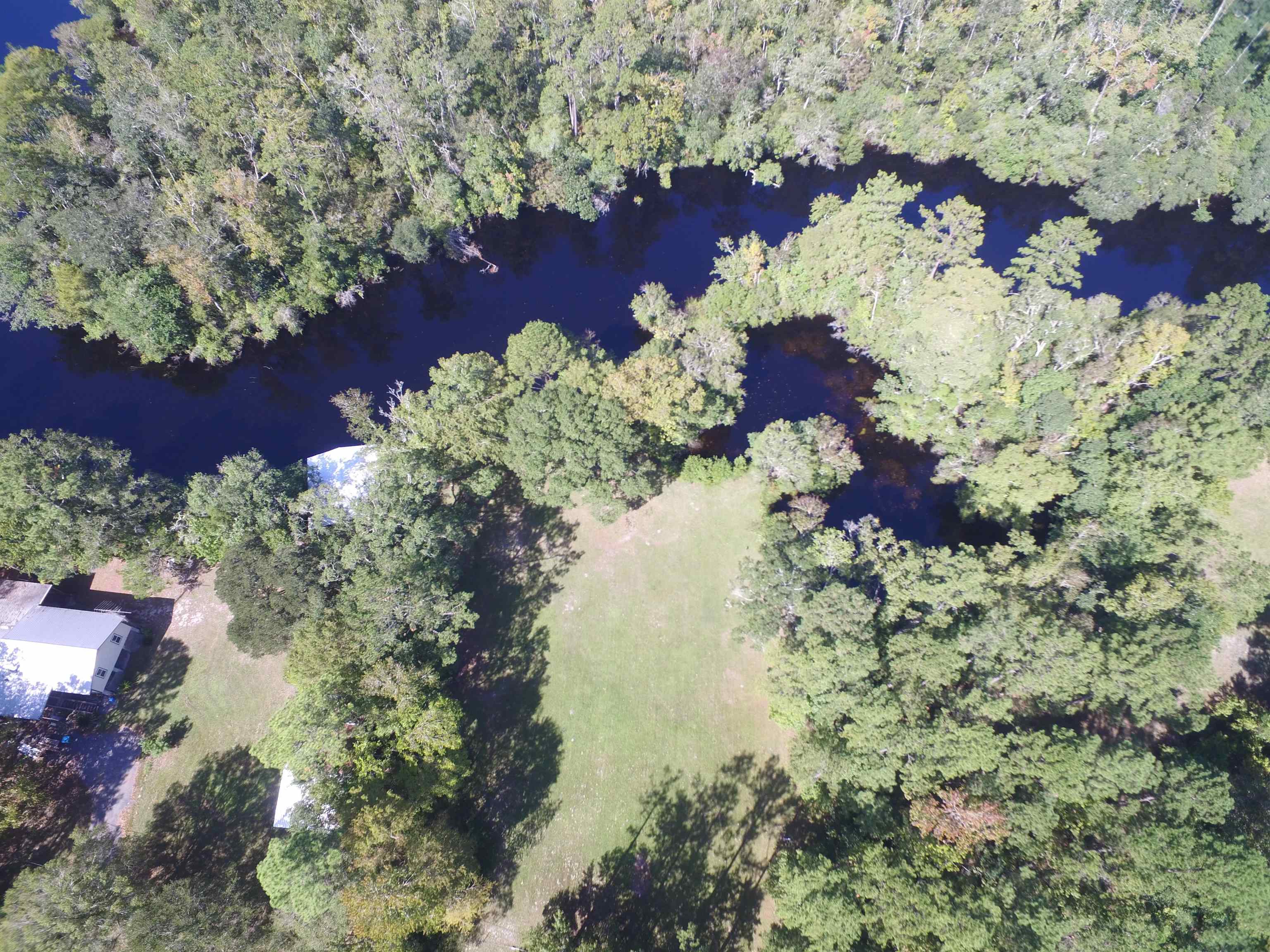 142 Beasley Road Sopchoppy, FL 32358 - Photo 9 of 42