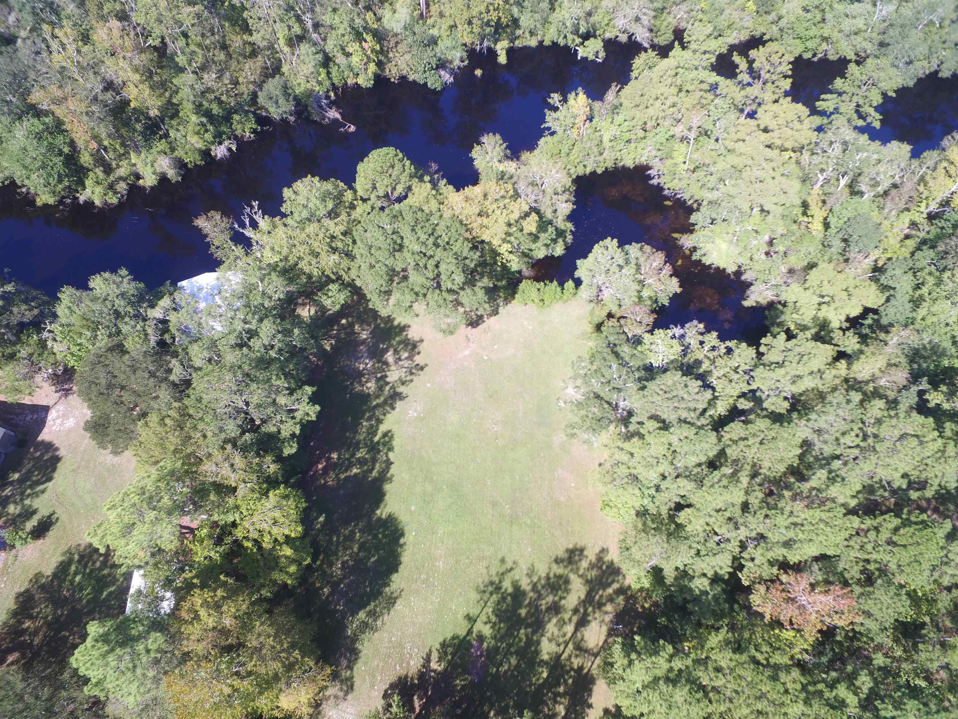 142 Beasley Road Sopchoppy, FL 32358 - Photo 10 of 42