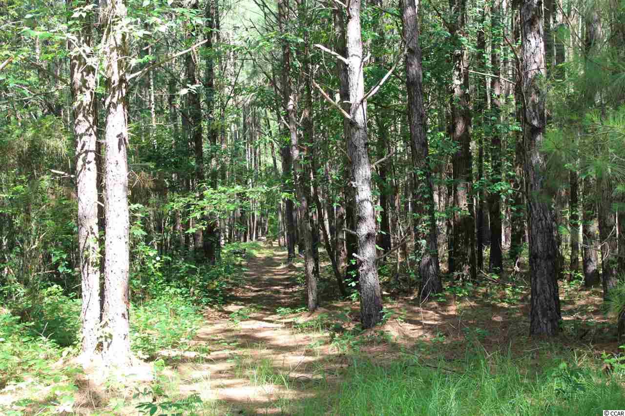 Lot 14 Herman Road Loris, SC 29569 - Photo 1 of 3 Gallery Image 1