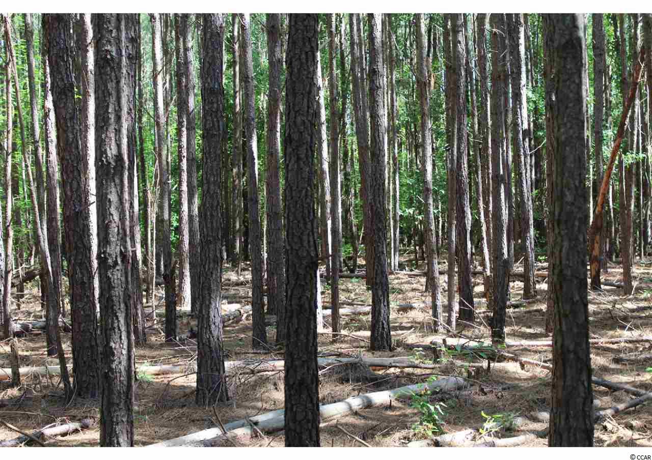 Lot 14 Herman Road Loris, SC 29569 - Photo 2 of 3 Gallery Image 2