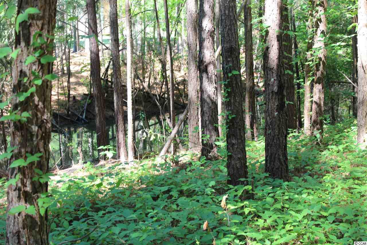 Lot 14 Herman Road Loris, SC 29569 - Photo 3 of 3 Gallery Image 3