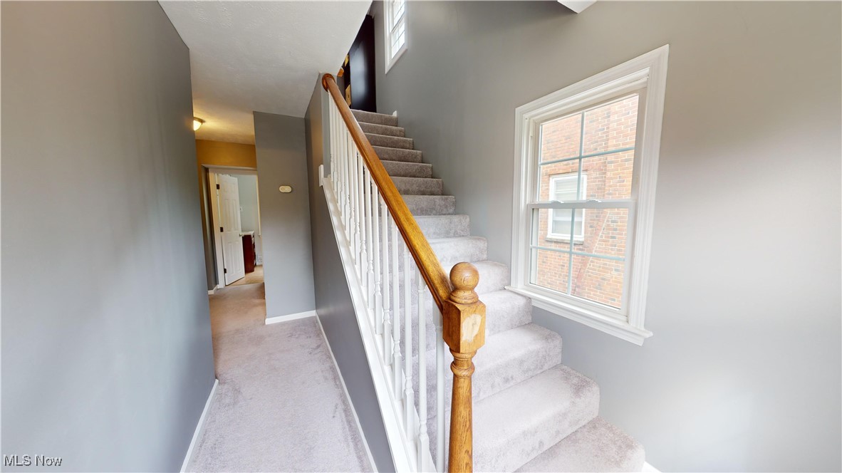 2412 Charney Road Cleveland, OH 44118 - Photo 29 of 48 Staircase featuring carpet