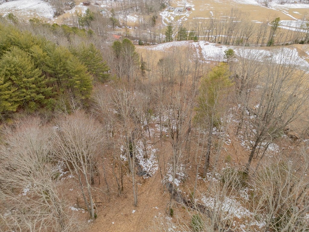 Tbd Spur Branch Road, Unit 4 Dublin, VA 24084 - Photo 81 of 85 Gallery Image 81