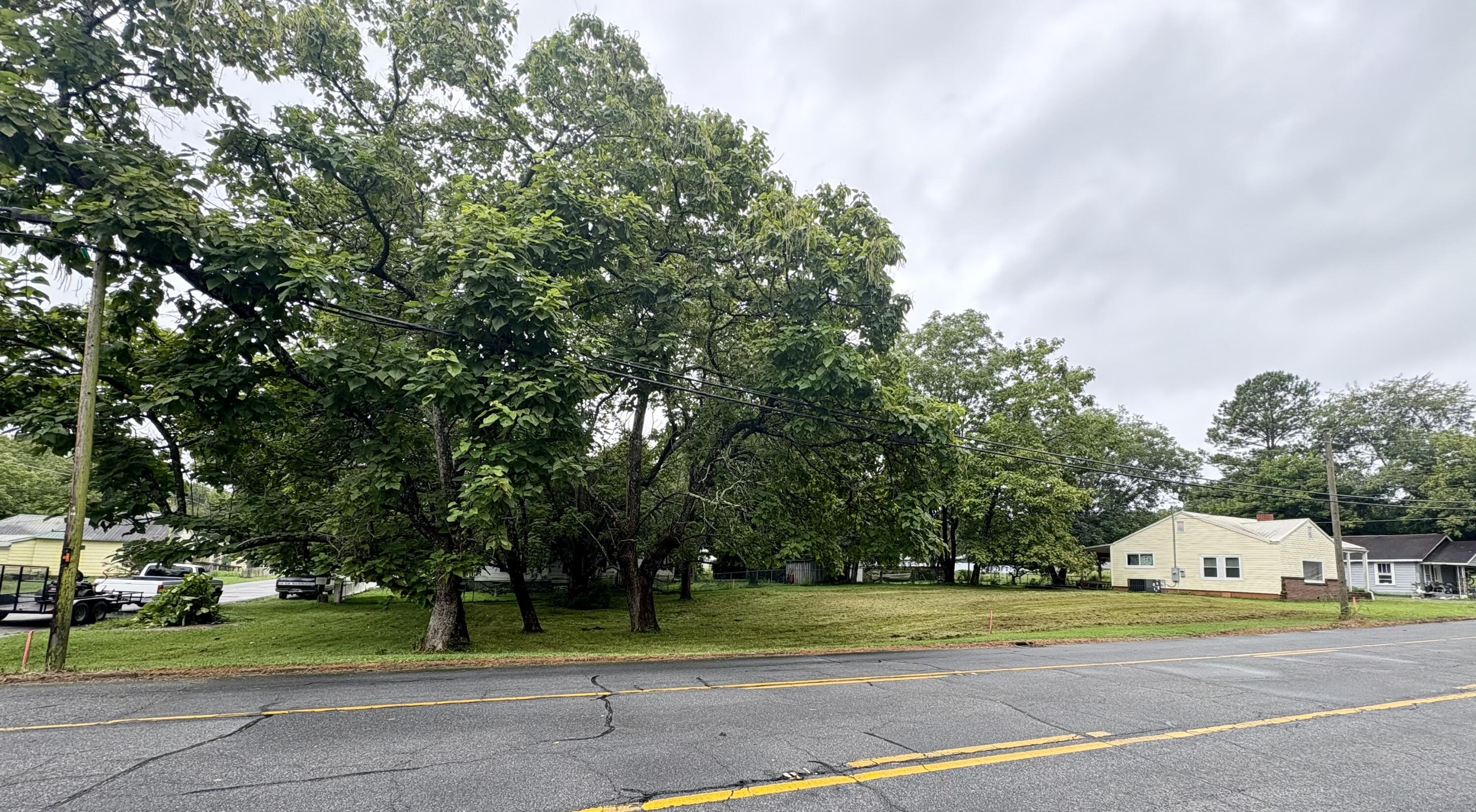 0 West Main Street LaFayette, GA 30728 - Photo 3 of 4 IMG_6475