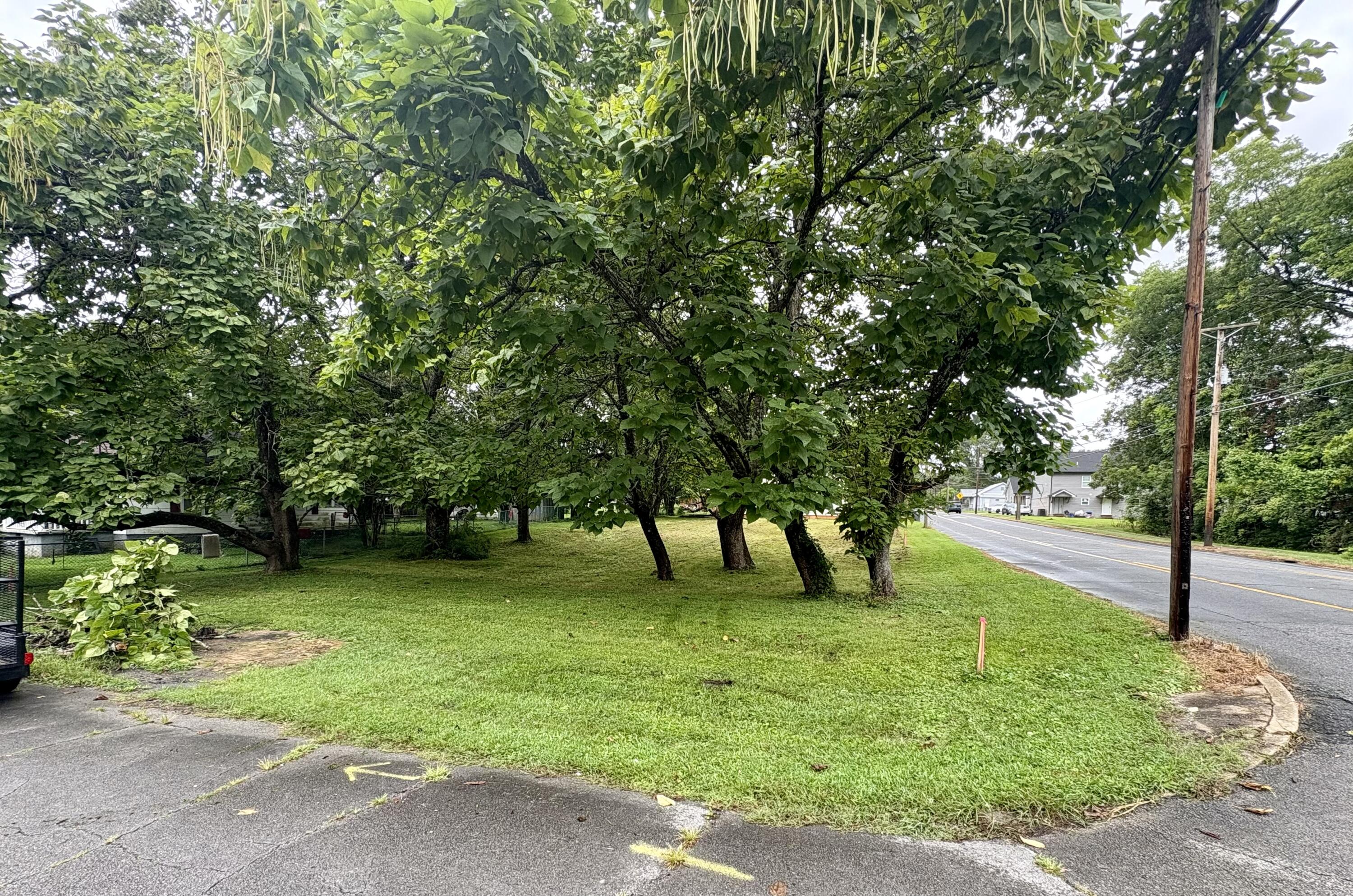 0 West Main Street LaFayette, GA 30728 - Photo 4 of 4 IMG_6473