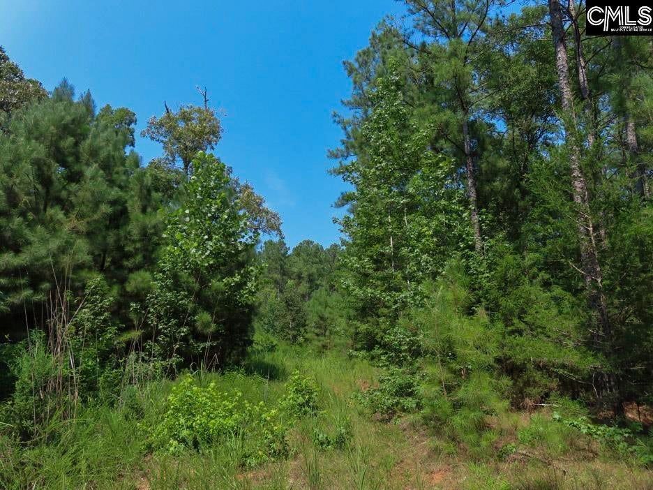 0 Landis Road Winnsboro, SC 29180 - Photo 18 of 83 Gallery Image 18