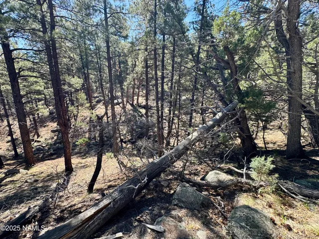 $79,900 | 1201 Redwall Way, Williams, AZ 86046