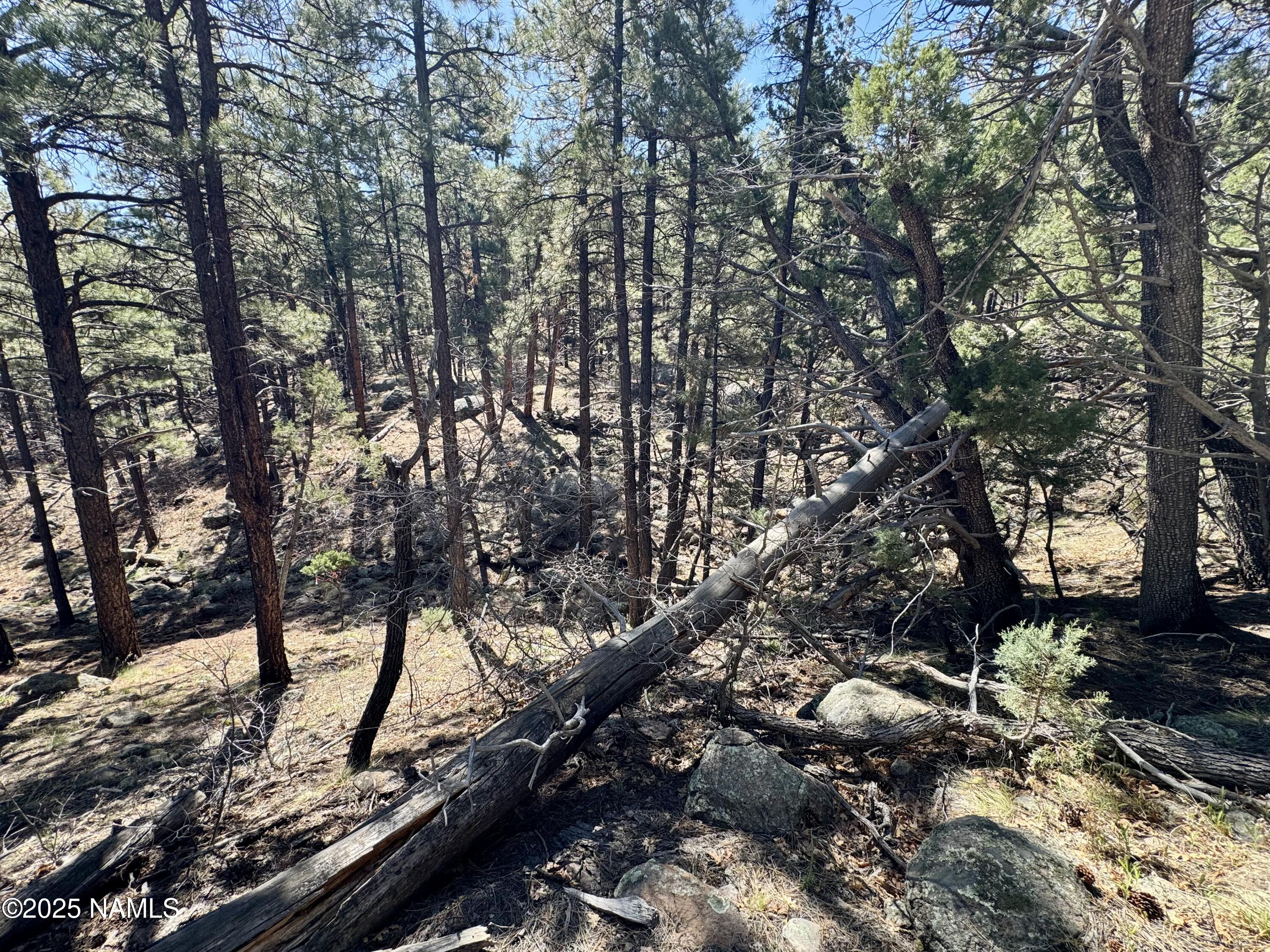 1201 Redwall Way Williams, AZ 86046 - Photo 11 of 14 IMG_1772