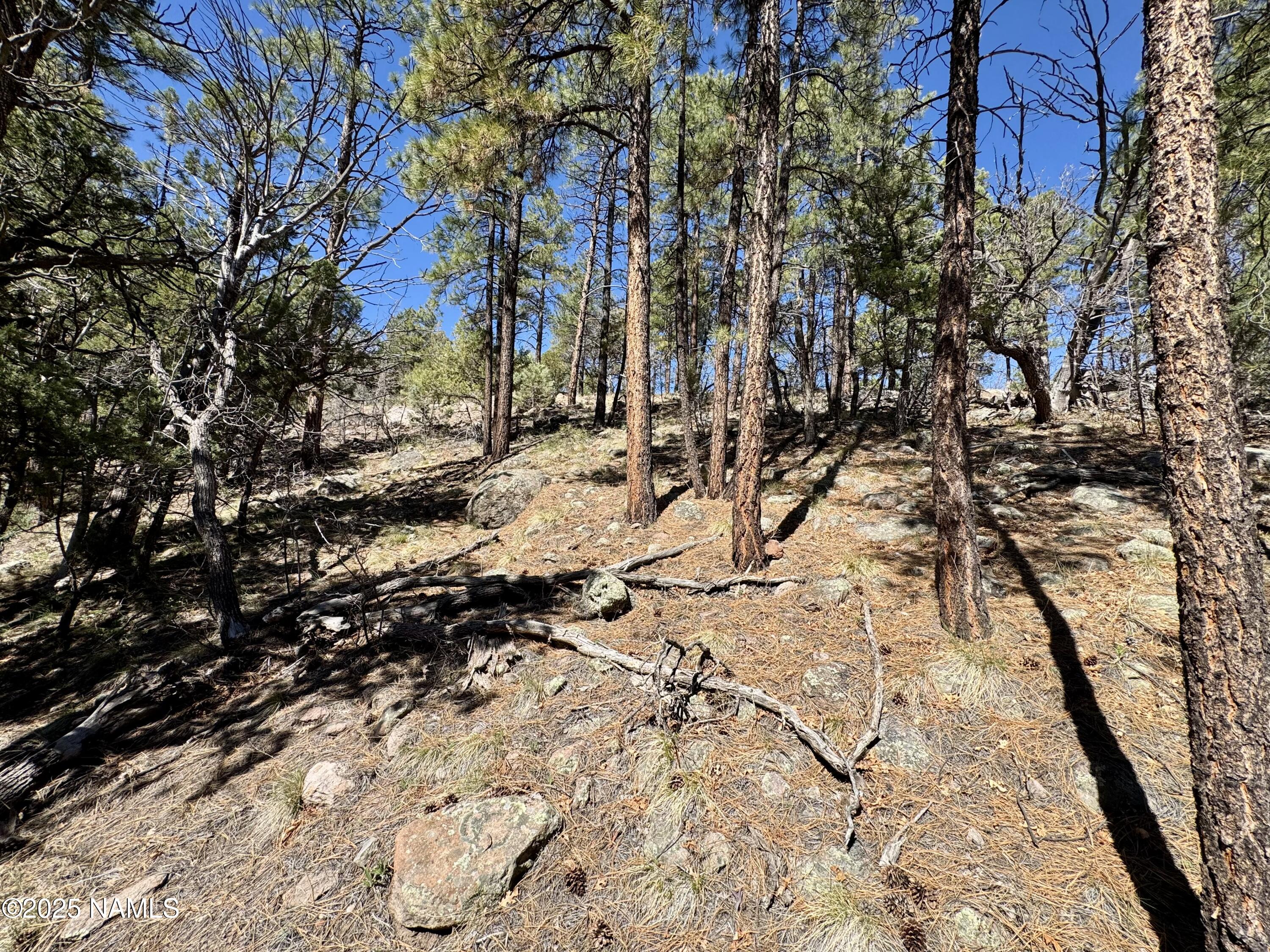 1201 Redwall Way Williams, AZ 86046 - Photo 12 of 14 IMG_1771