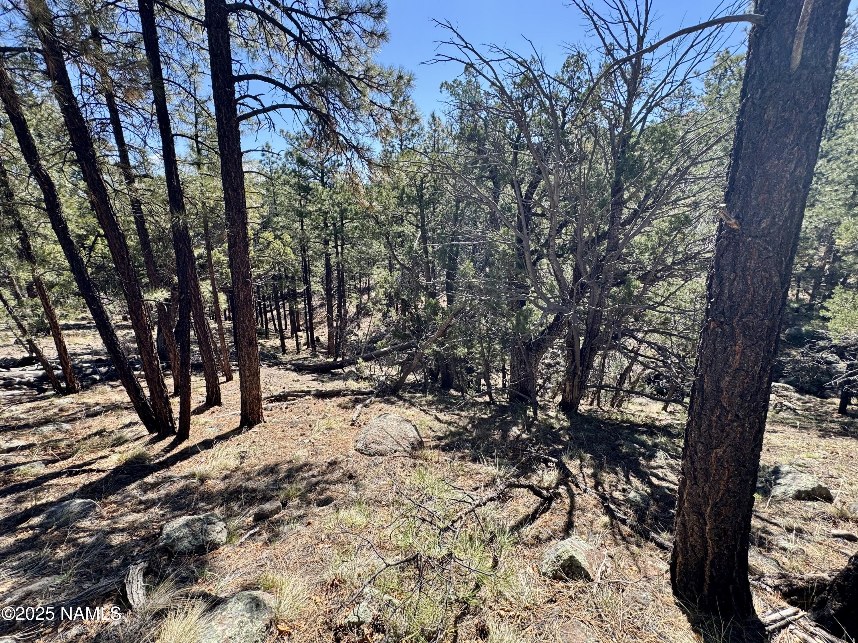 1201 Redwall Way Williams, AZ 86046 - Photo 13 of 14 IMG_1770