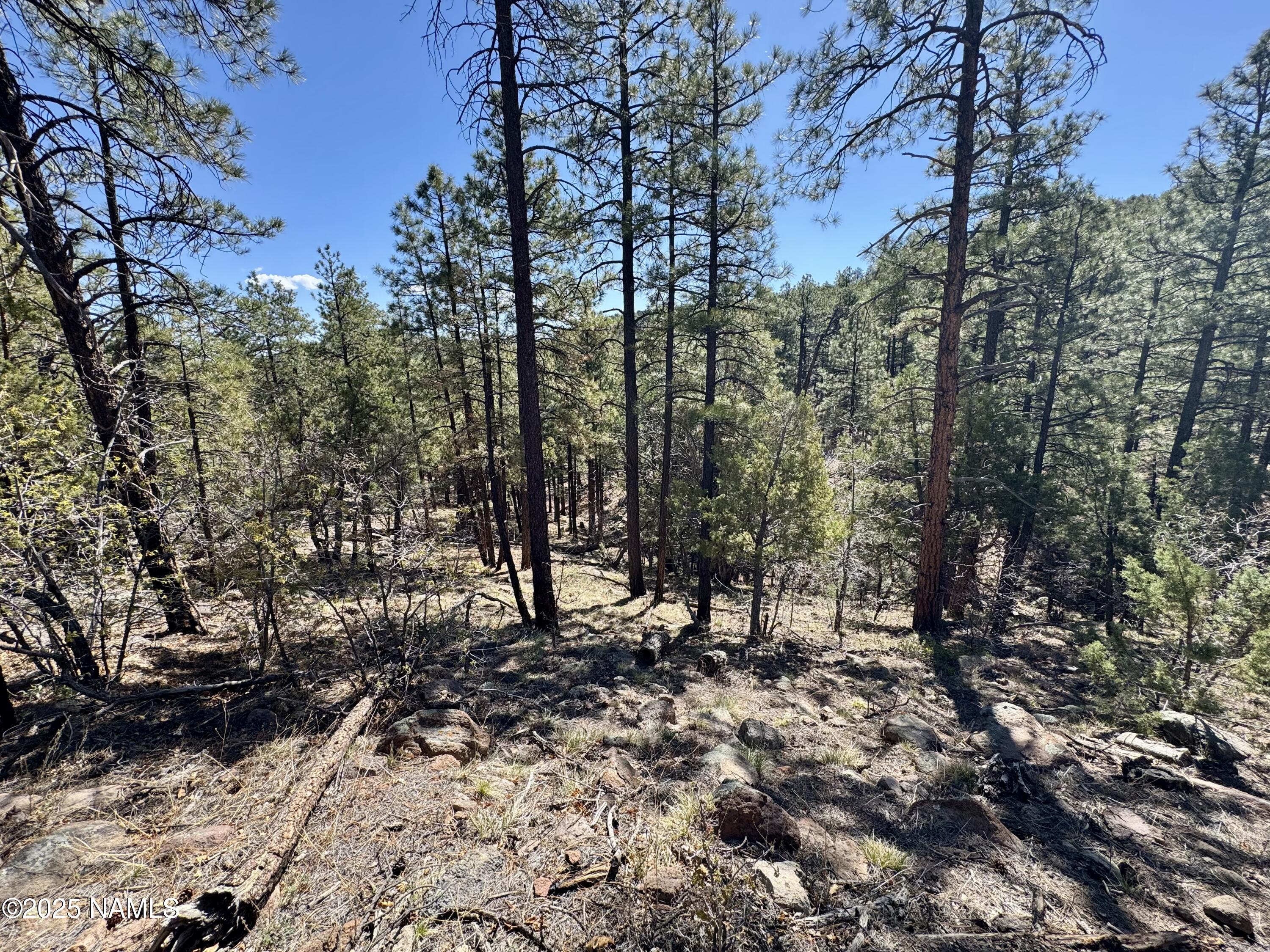 1201 Redwall Way Williams, AZ 86046 - Photo 14 of 14 IMG_1769