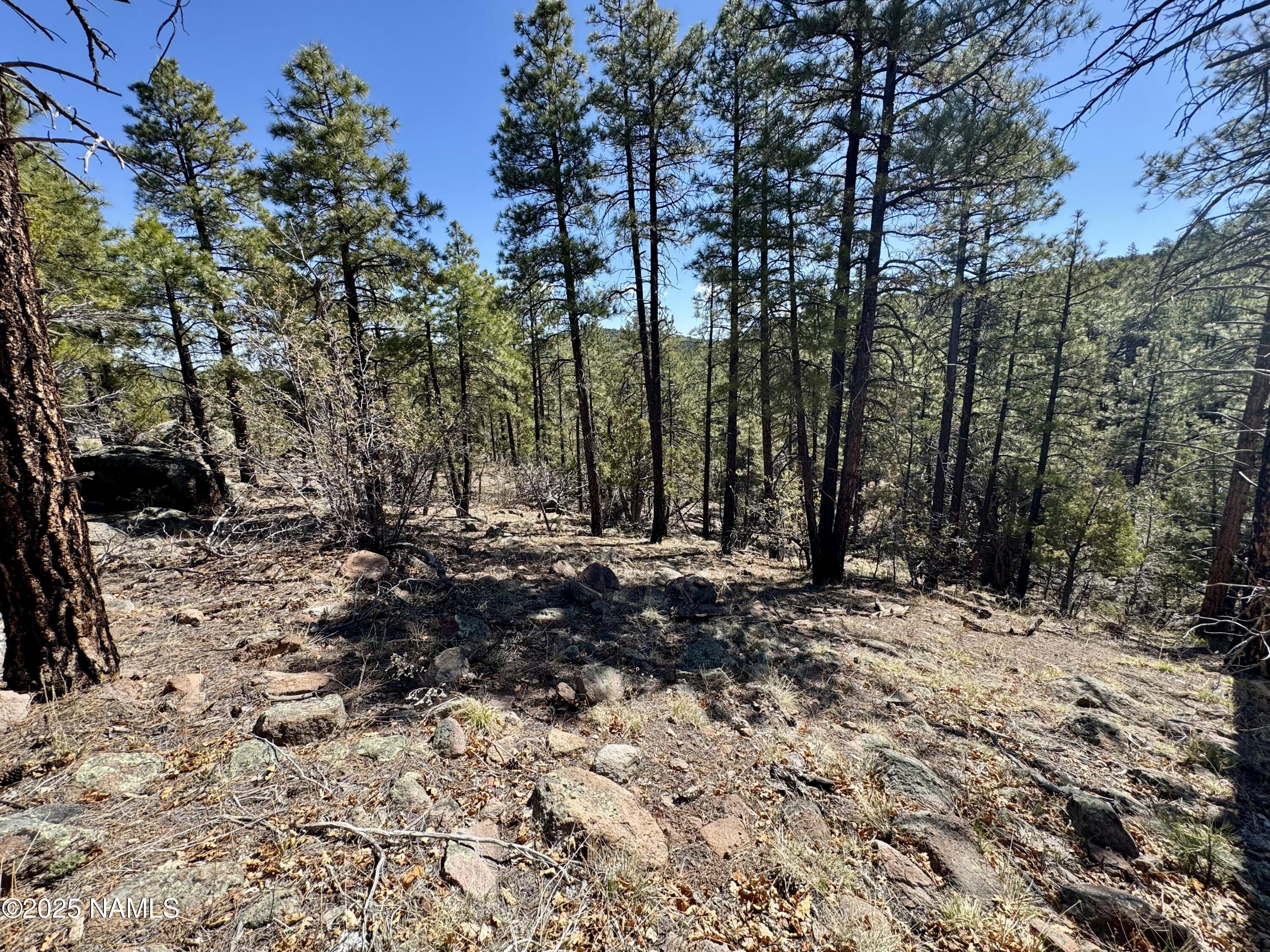 1201 Redwall Way Williams, AZ 86046 - Photo 3 of 14 IMG_1767