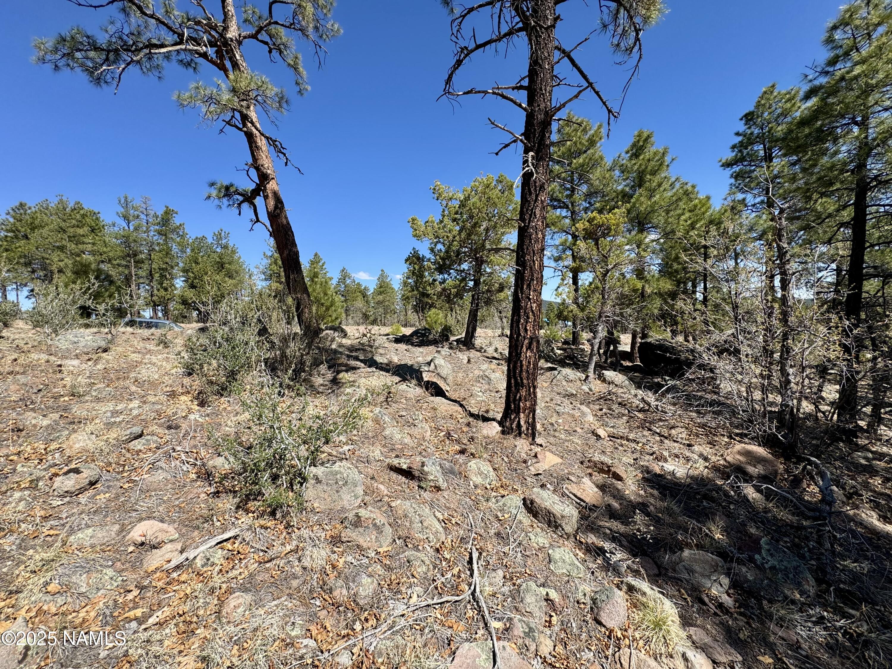 1201 Redwall Way Williams, AZ 86046 - Photo 4 of 14 IMG_1768
