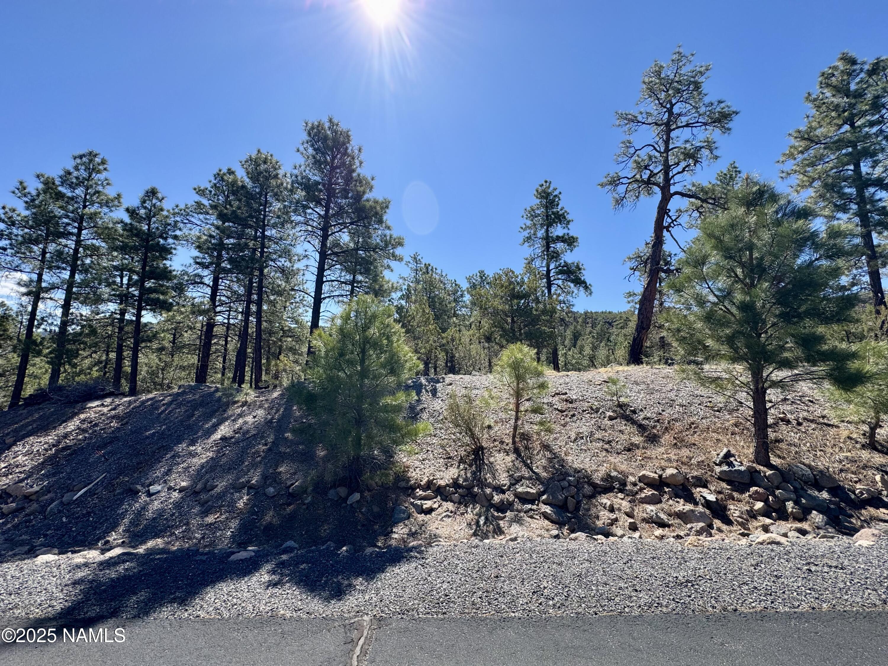 1201 Redwall Way Williams, AZ 86046 - Photo 5 of 14 IMG_1778