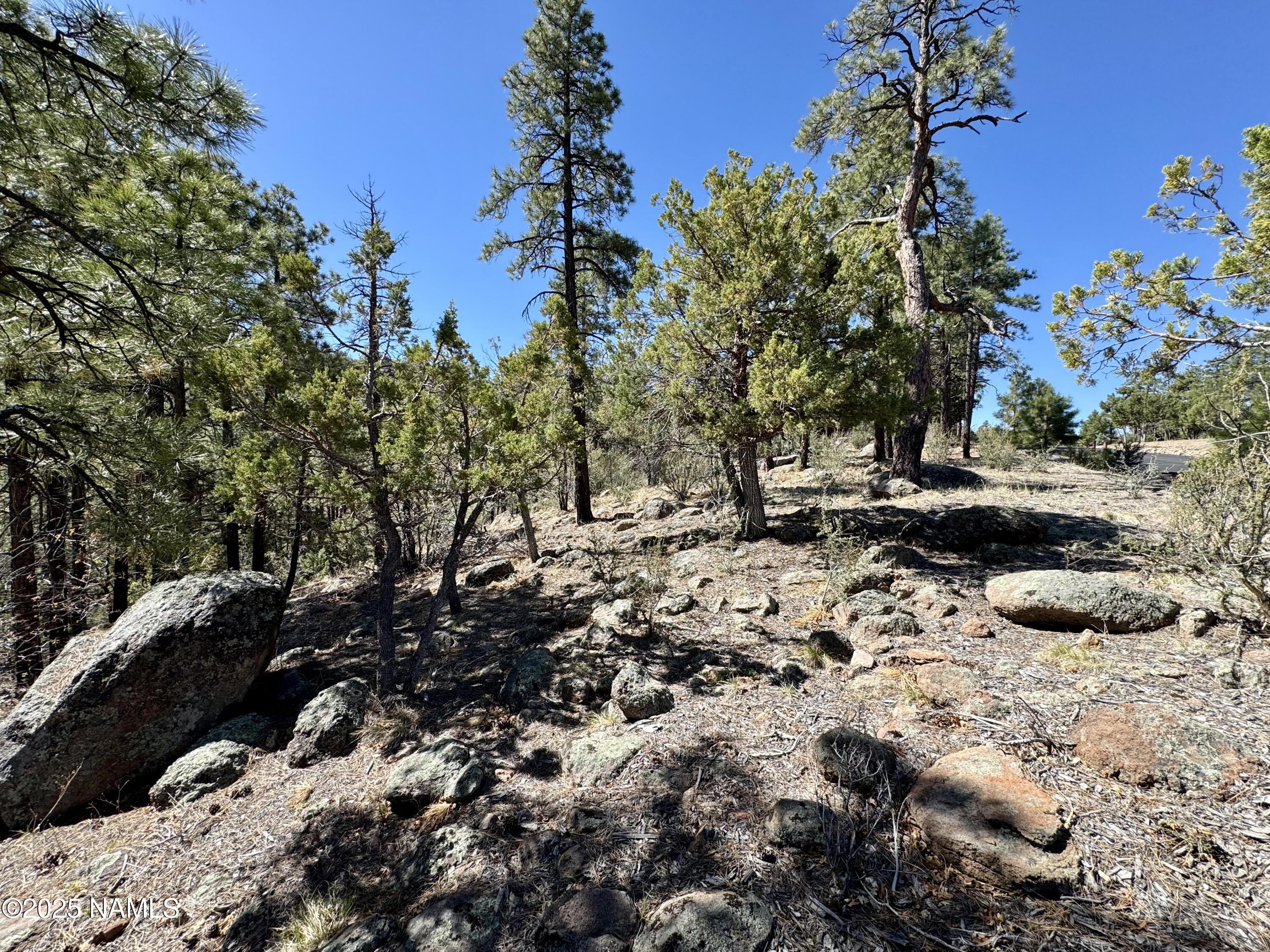 1201 Redwall Way Williams, AZ 86046 - Photo 6 of 14 IMG_1777