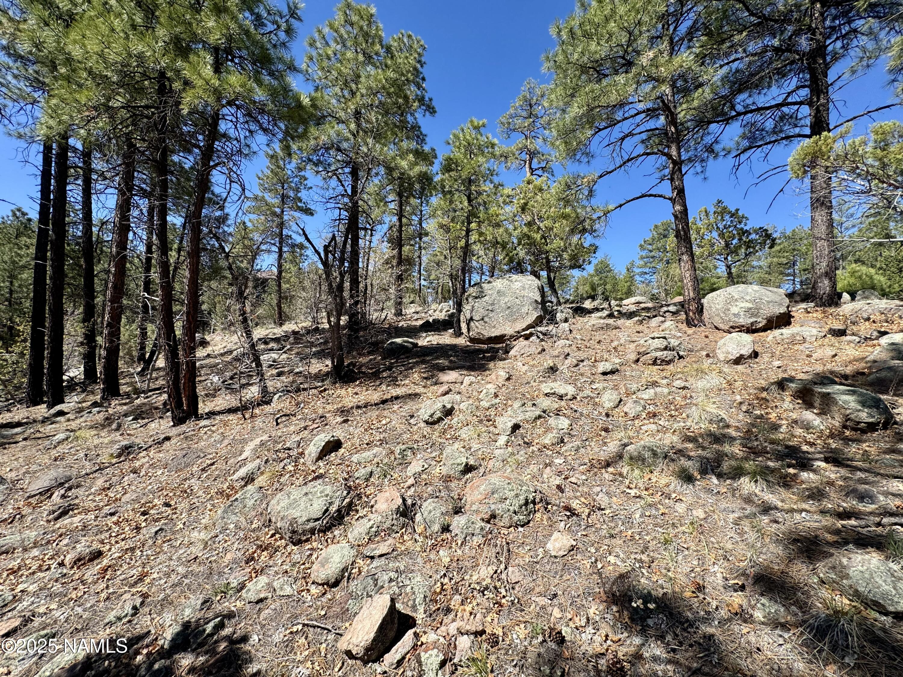 1201 Redwall Way Williams, AZ 86046 - Photo 7 of 14 IMG_1776