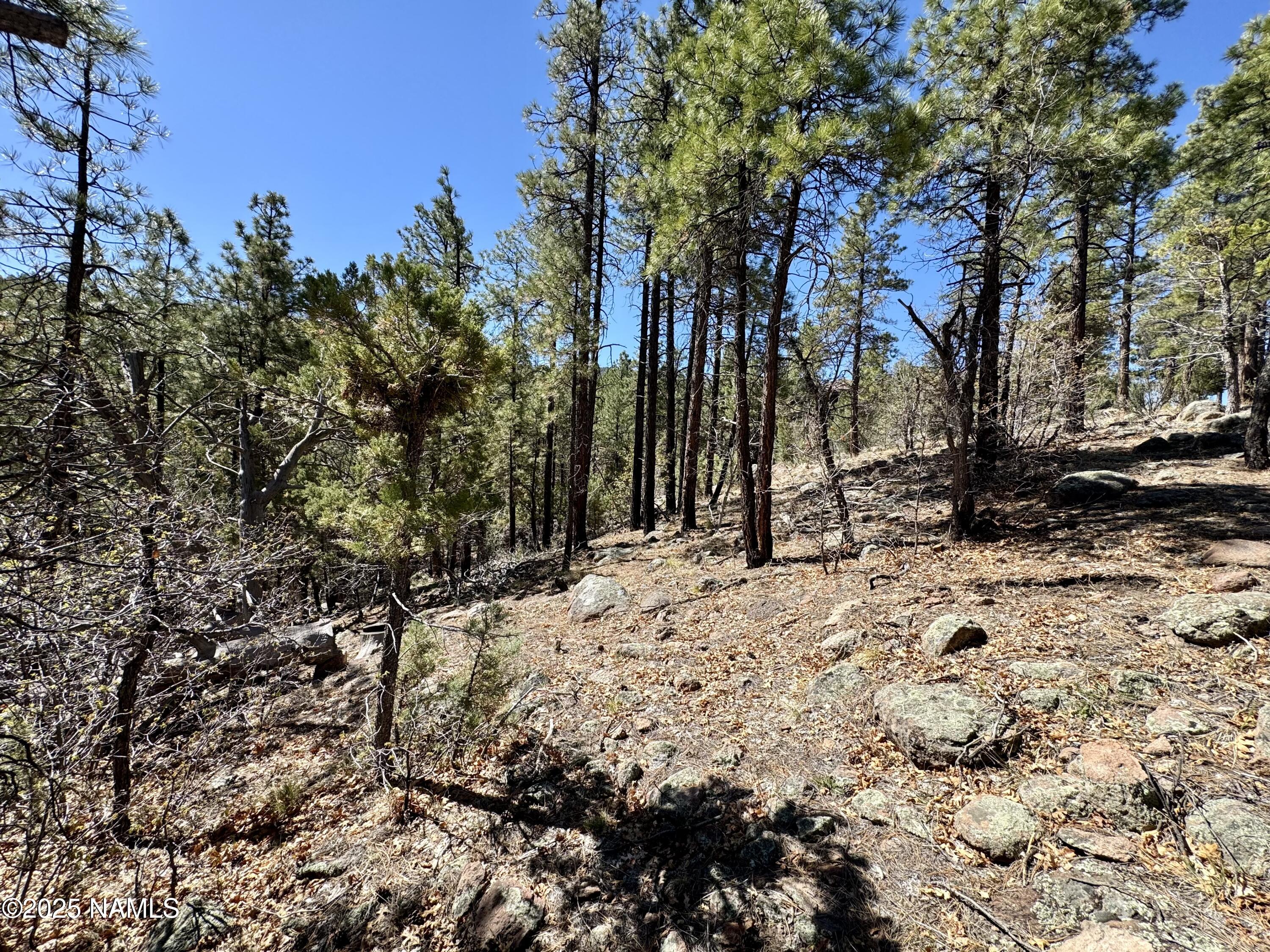 1201 Redwall Way Williams, AZ 86046 - Photo 8 of 14 IMG_1775