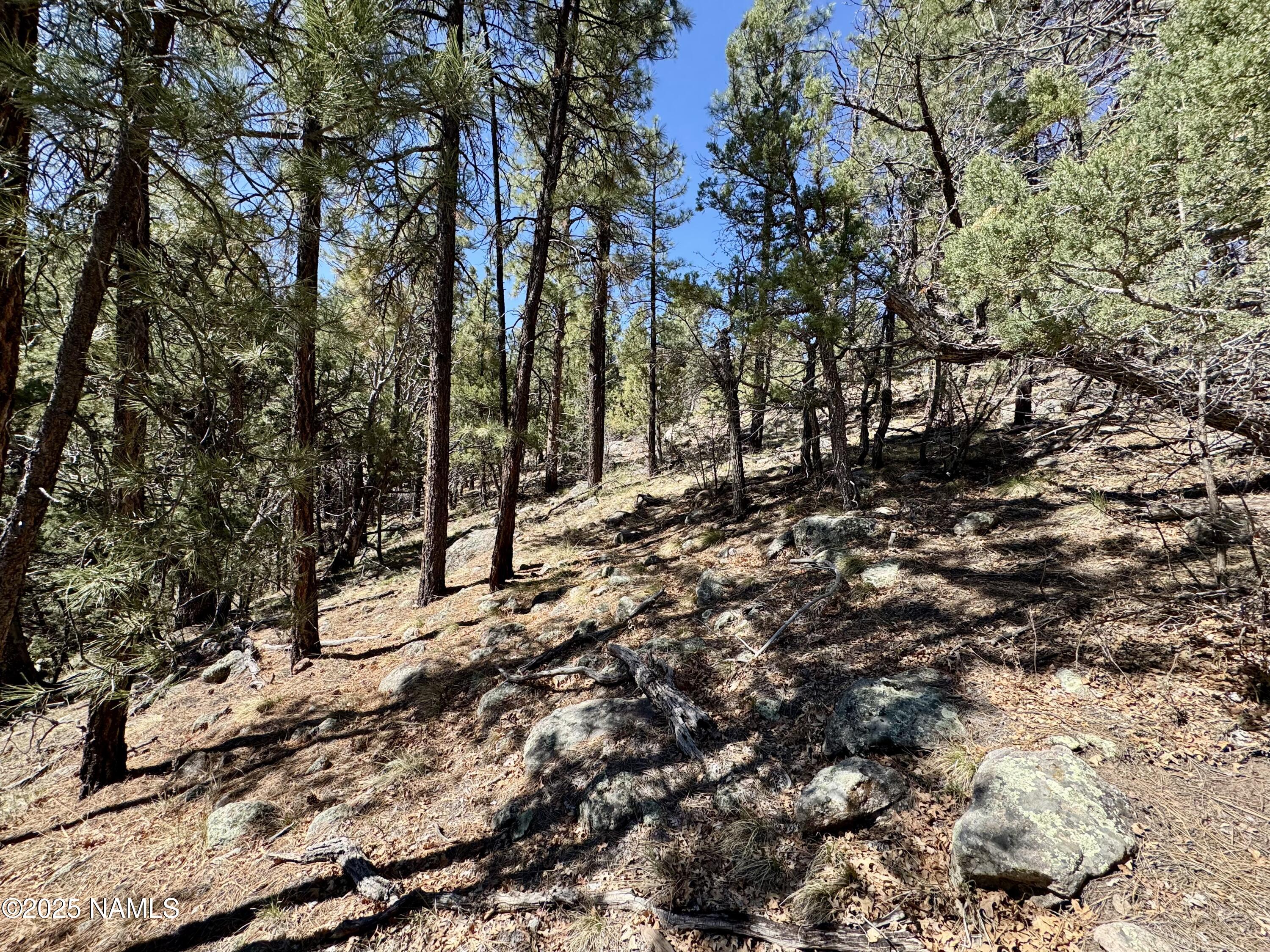 1201 Redwall Way Williams, AZ 86046 - Photo 9 of 14 IMG_1774