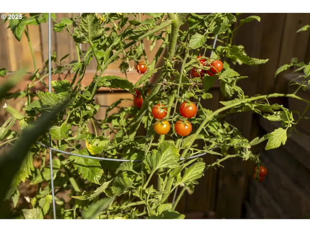 $474,900 | 1300 North Broadway Street, Estacada, OR 97023