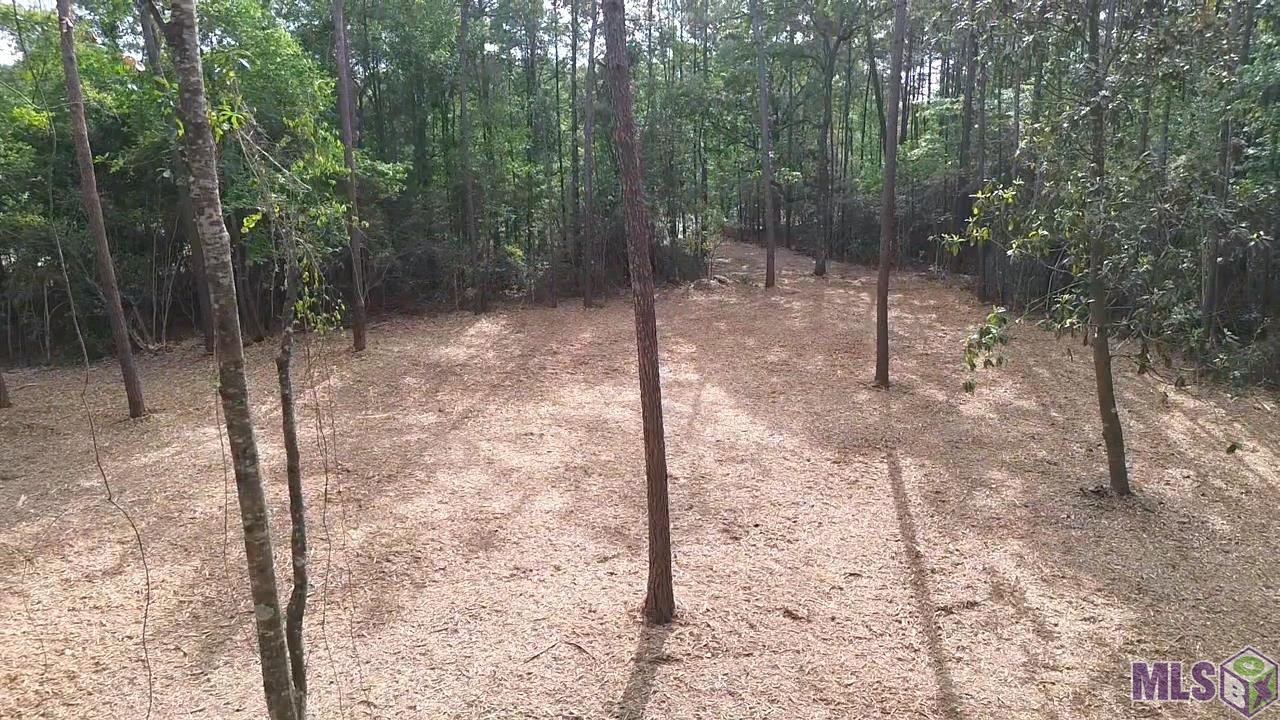 83166 Isabel Swamp Road Bush, LA 70431 - Photo 10 of 20