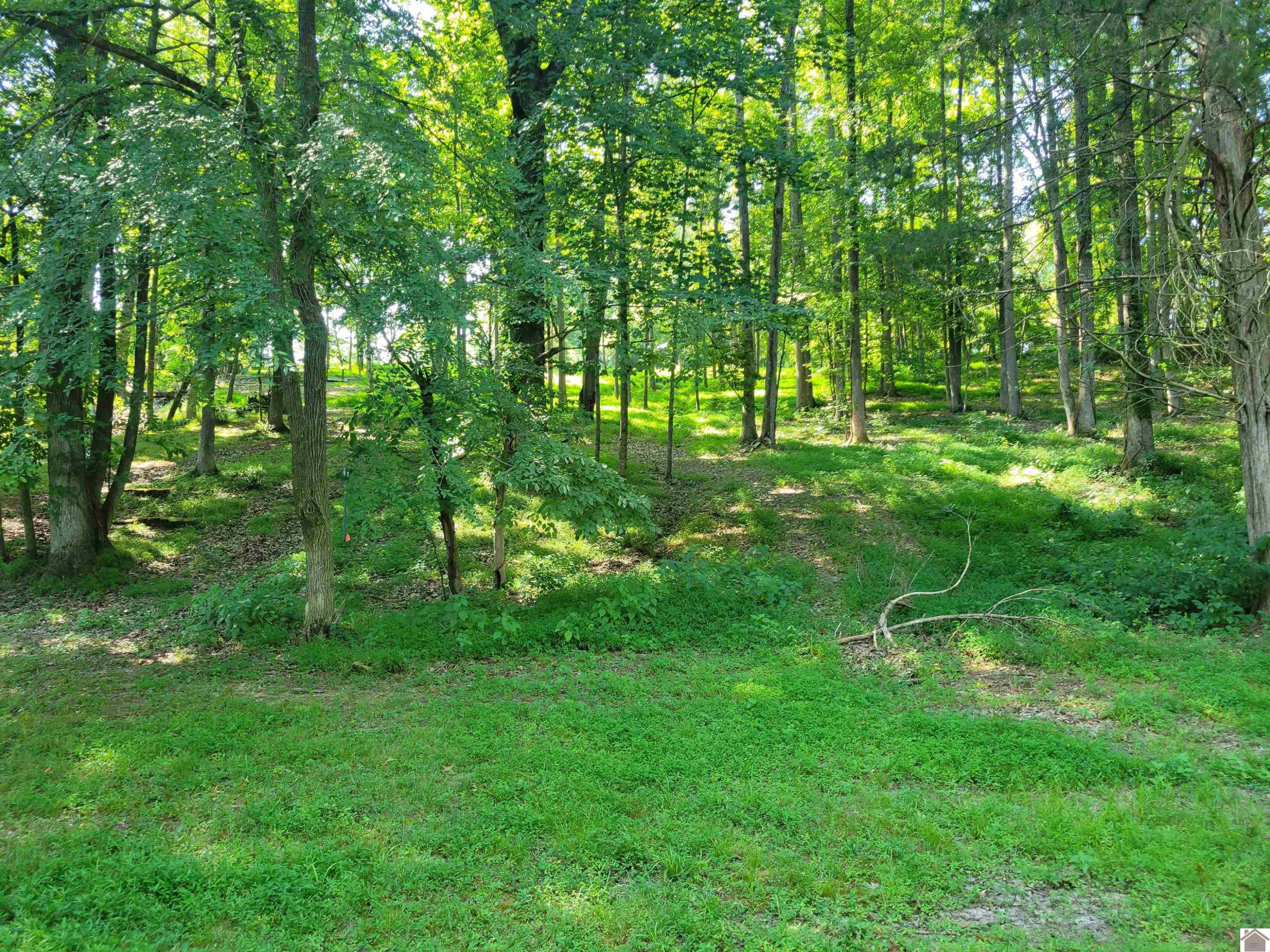 0 Al Henn Road, Unit 7 Cadiz, KY 42211 - Photo 1 of 1 Photo 1