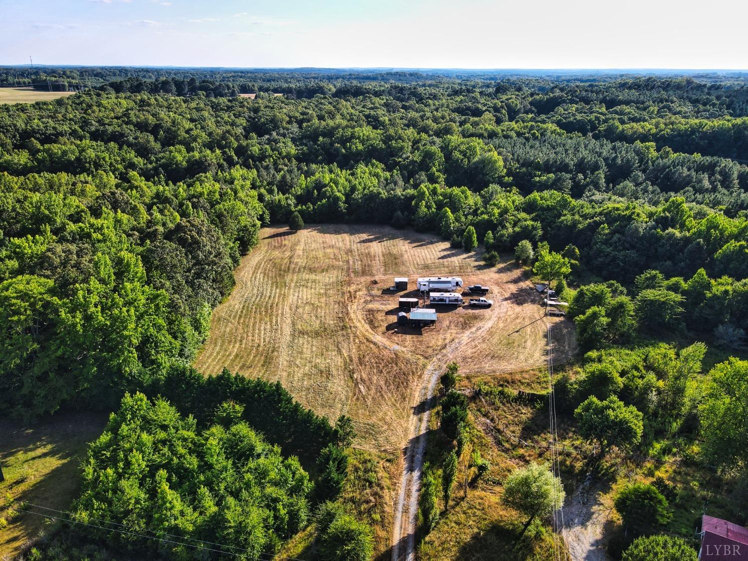 a view of a lake in a forest