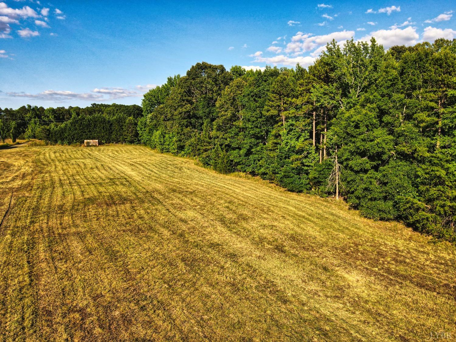 4020 Jeb Stuart Highway Red Oak, VA 23964 - Photo 16 of 48 a view of a yard
