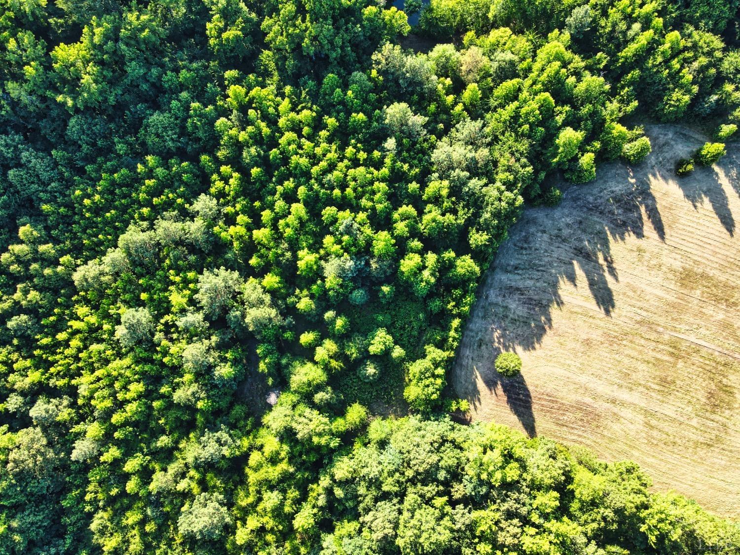 4020 Jeb Stuart Highway Red Oak, VA 23964 - Photo 19 of 48 a view of a garden