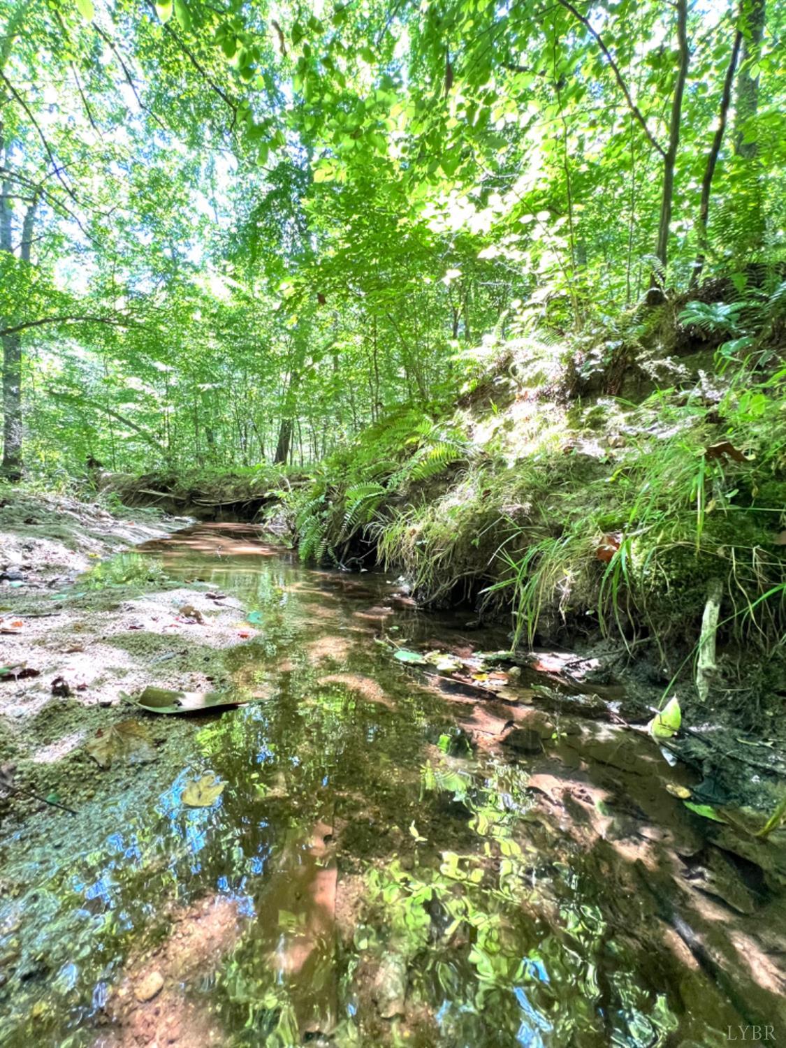 4020 Jeb Stuart Highway Red Oak, VA 23964 - Photo 23 of 48 a backyard of a house with lots of green space