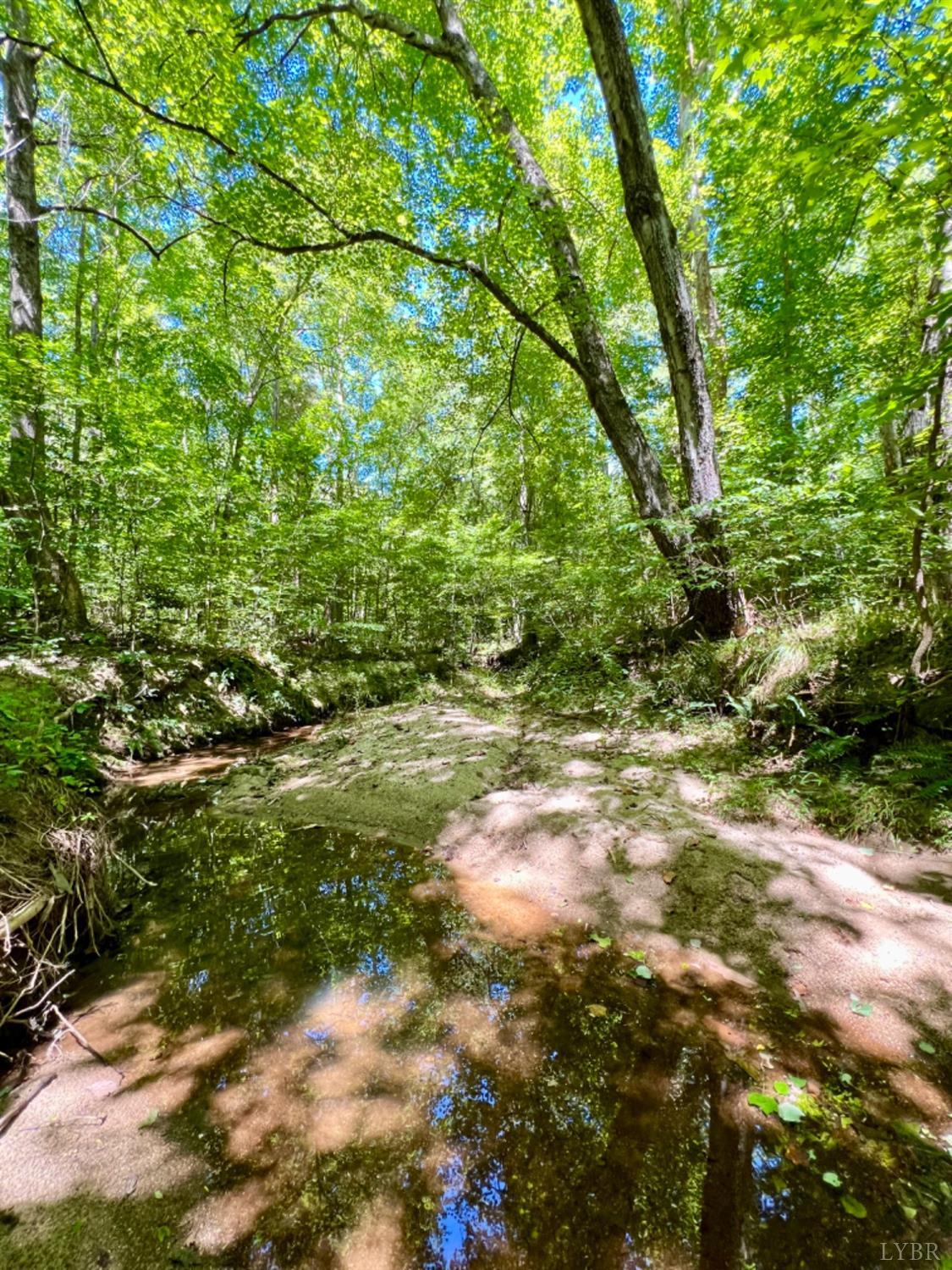 4020 Jeb Stuart Highway Red Oak, VA 23964 - Photo 24 of 48 a view of a yard with plants and large trees