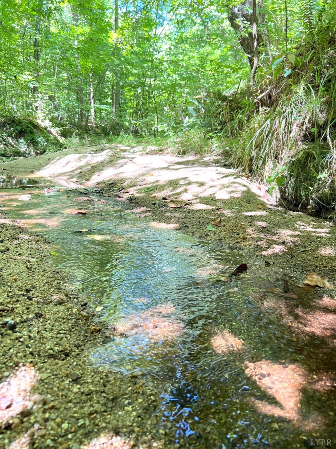 4020 Jeb Stuart Highway Red Oak, VA 23964 - Photo 25 of 48 a view of outdoor space with trees all around