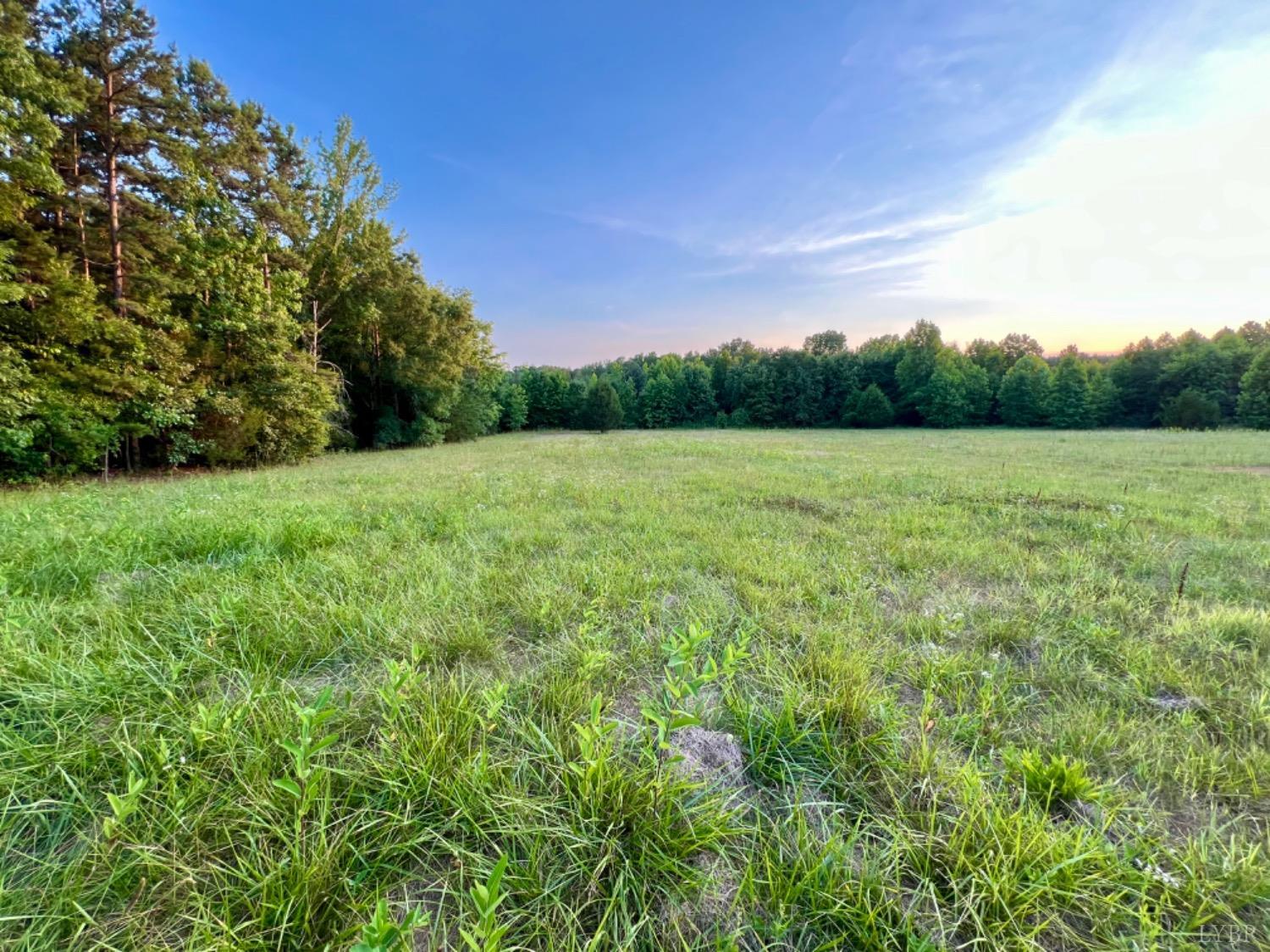 4020 Jeb Stuart Highway Red Oak, VA 23964 - Photo 28 of 48 a view of open space with mountain view