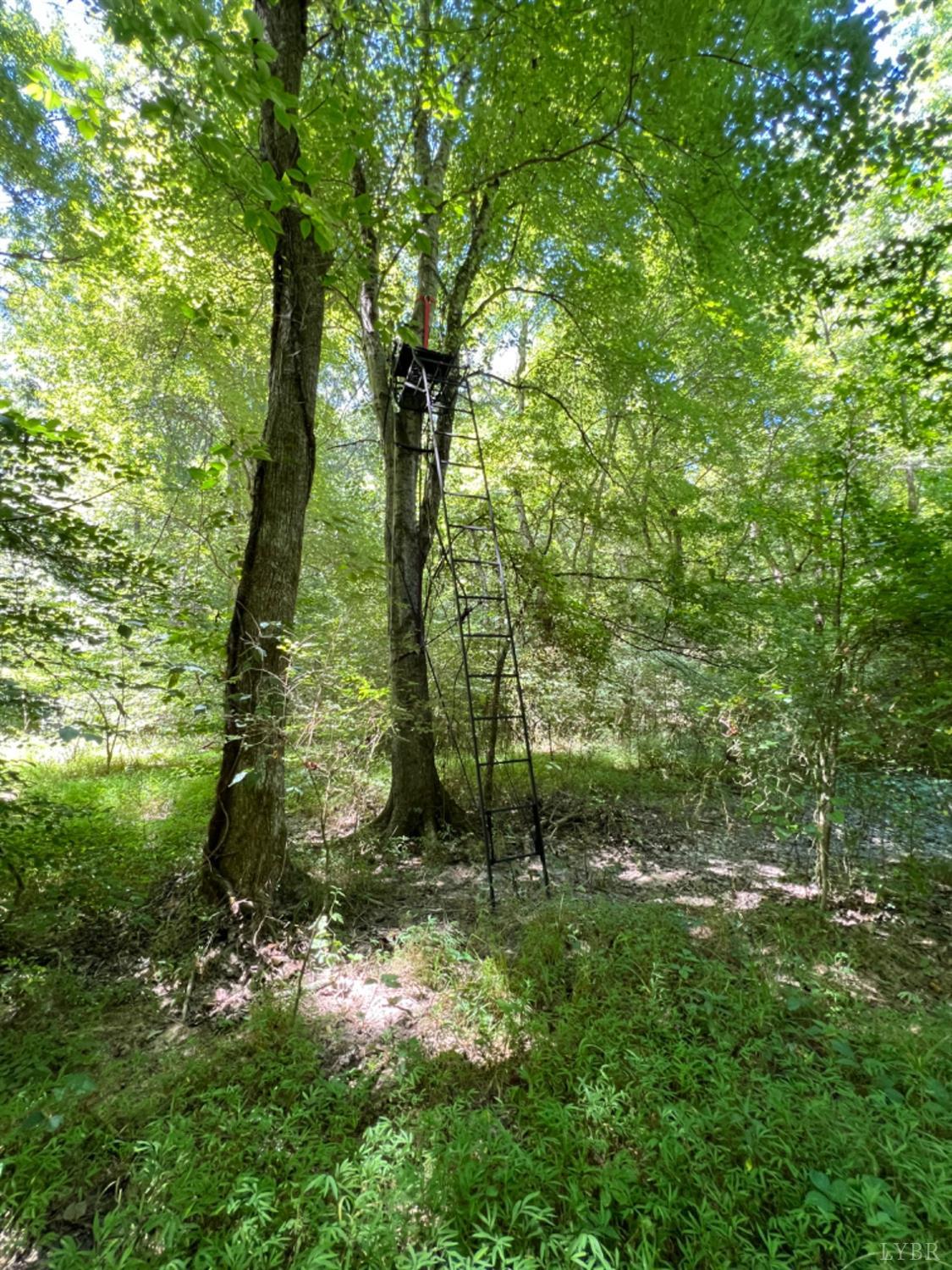 4020 Jeb Stuart Highway Red Oak, VA 23964 - Photo 40 of 48 a backyard of a house with lots of green space