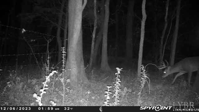 4020 Jeb Stuart Highway Red Oak, VA 23964 - Photo 42 of 48