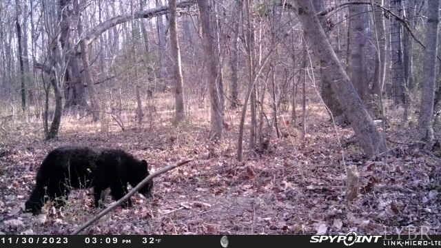 4020 Jeb Stuart Highway Red Oak, VA 23964 - Photo 46 of 48