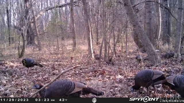 4020 Jeb Stuart Highway Red Oak, VA 23964 - Photo 47 of 48 a view of a yard