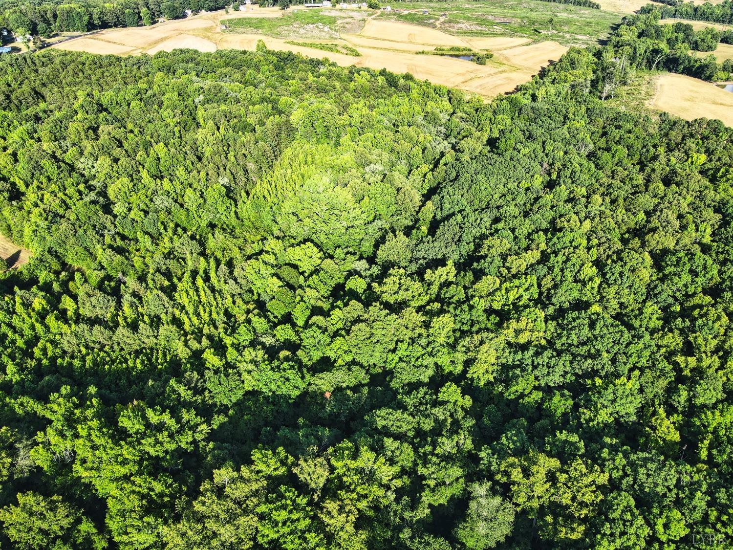 4020 Jeb Stuart Highway Red Oak, VA 23964 - Photo 5 of 48 a view of a large yard with plants and large trees