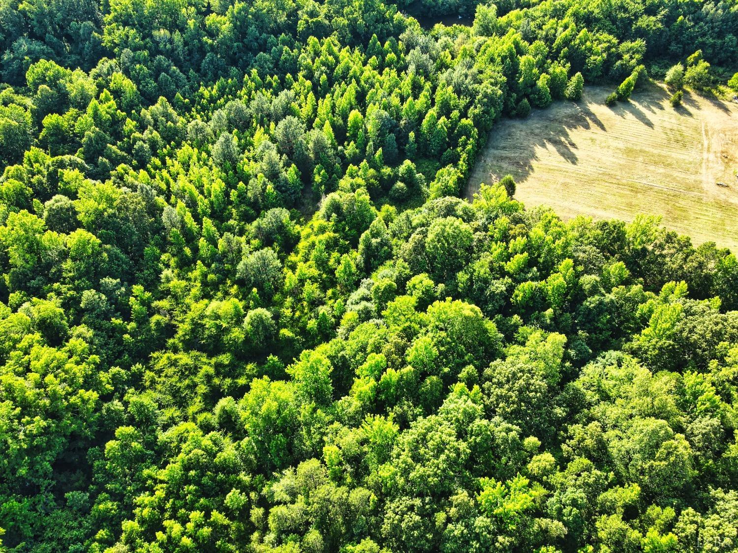4020 Jeb Stuart Highway Red Oak, VA 23964 - Photo 6 of 48 a view of a plant