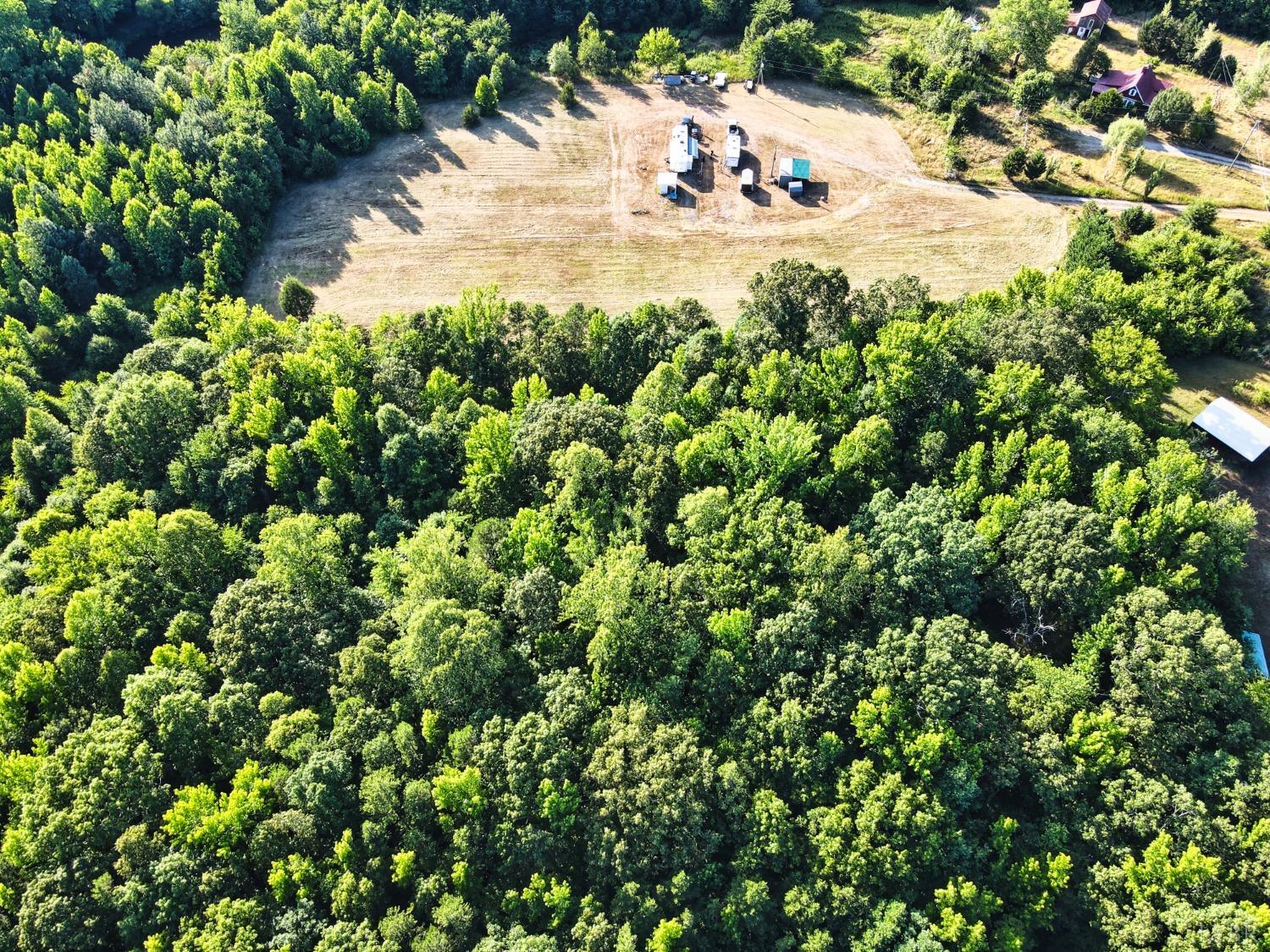 4020 Jeb Stuart Highway Red Oak, VA 23964 - Photo 7 of 48 a view of a yard with a tree
