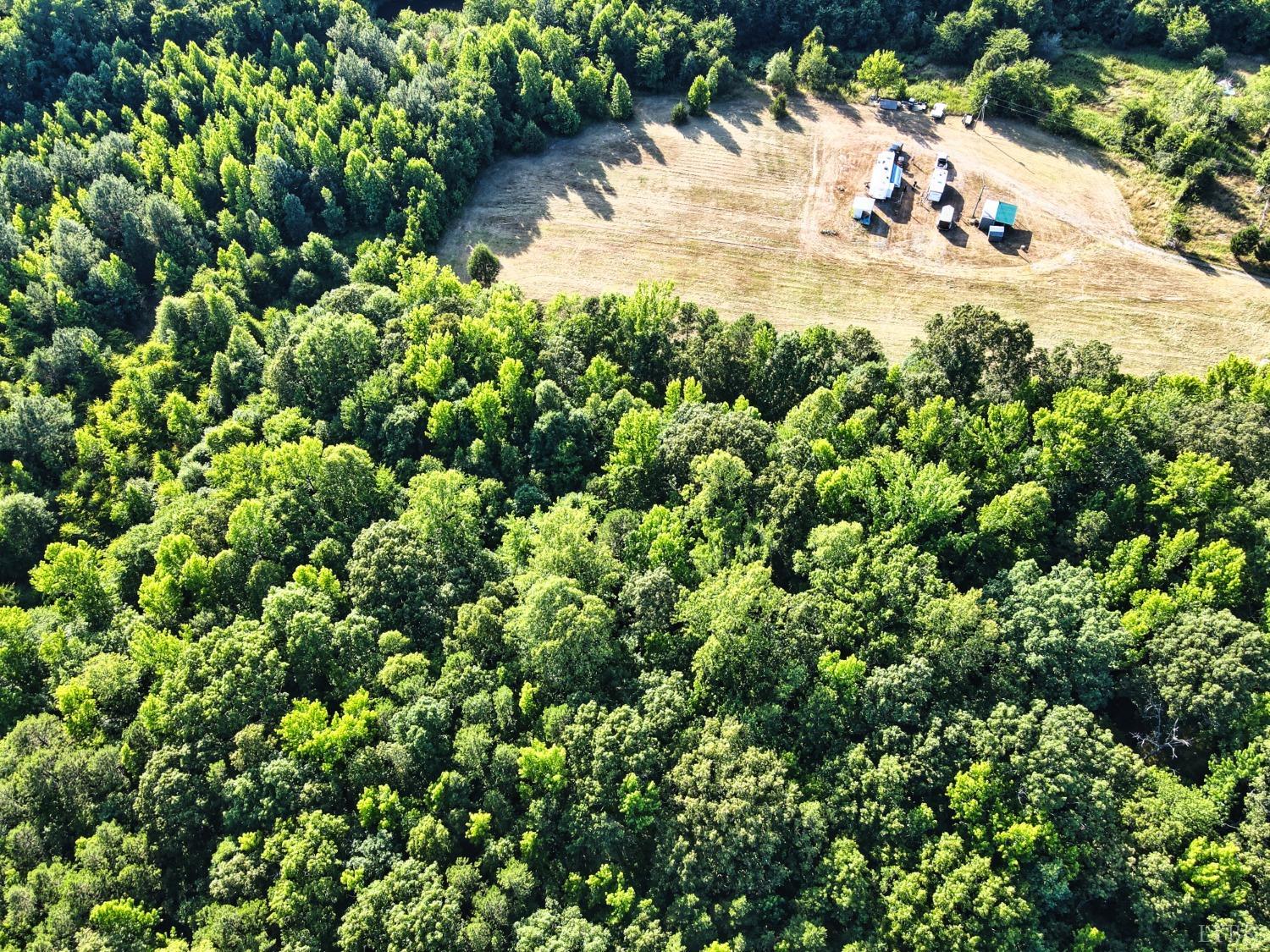 4020 Jeb Stuart Highway Red Oak, VA 23964 - Photo 8 of 48 a view of a yard with a tree