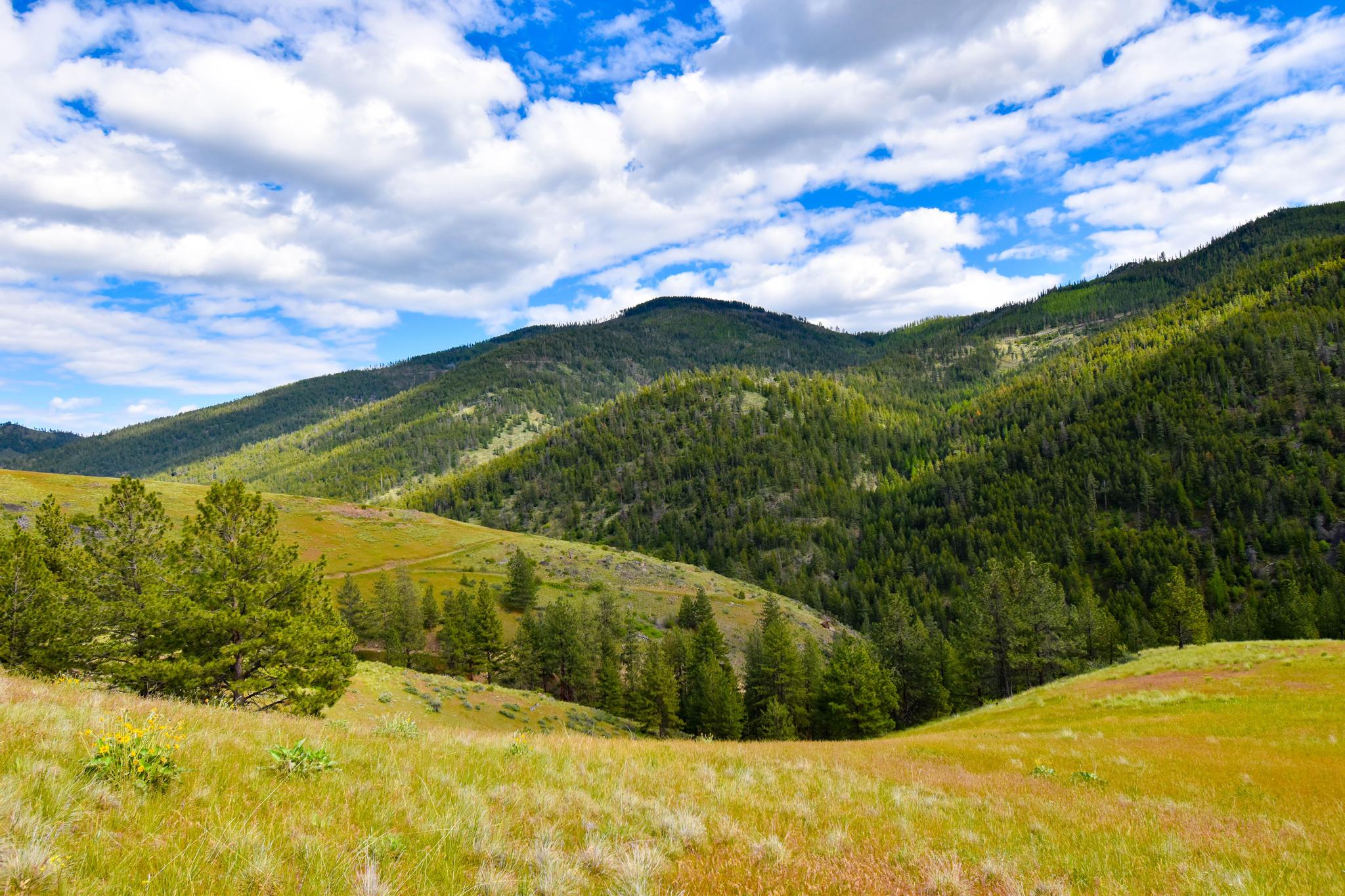 2 Henry Creek Road Plains, MT 59859 - Photo 5 of 40 Gallery Image 5