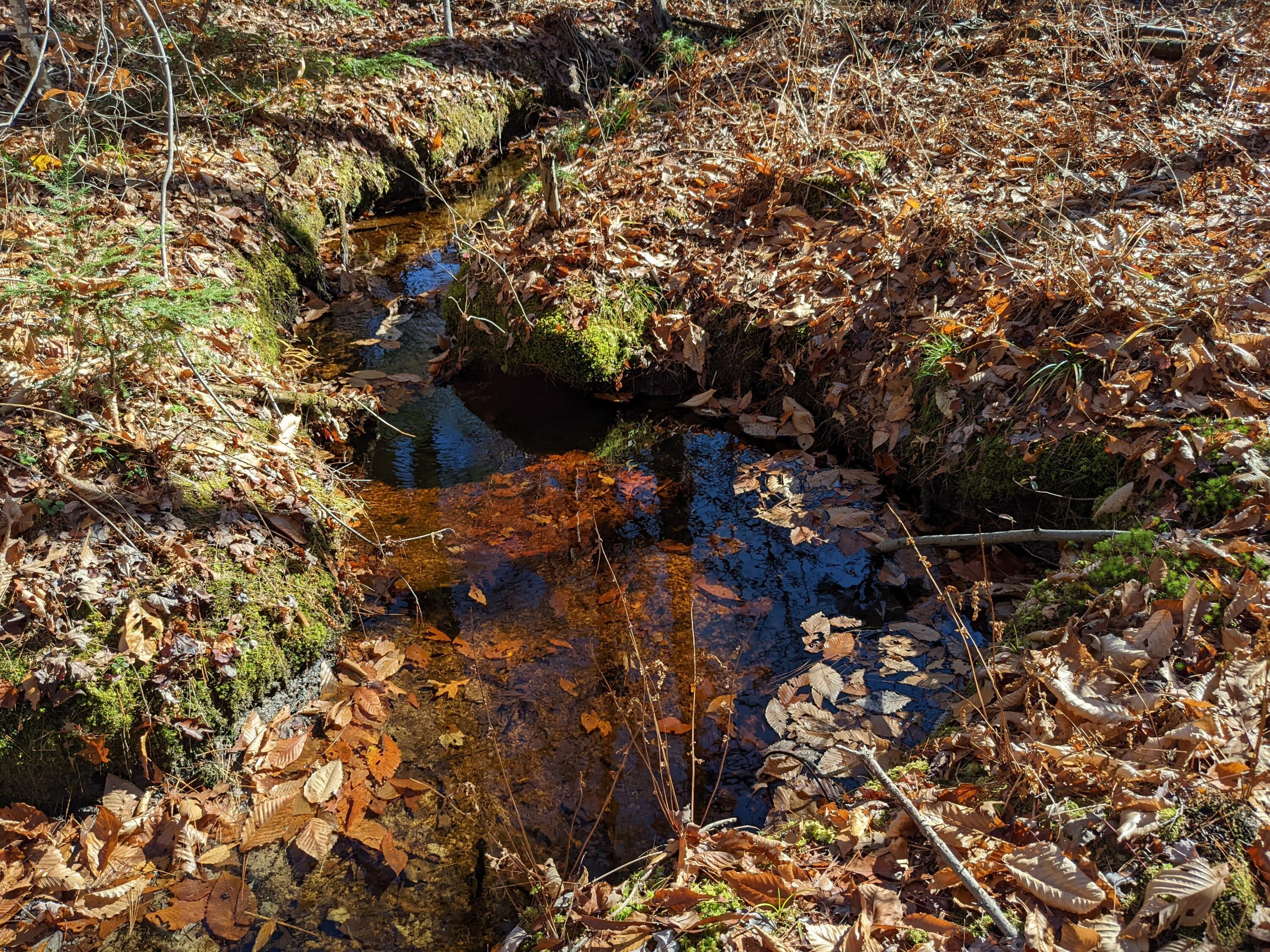 Lot # Highland Park Road Fryeburg, ME 04037 - Photo 11 of 15 Moose Brook