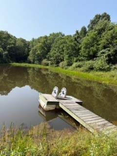 1047 Poinsettia Road Scio, OH 43988 - Photo 10 of 33 View of dock