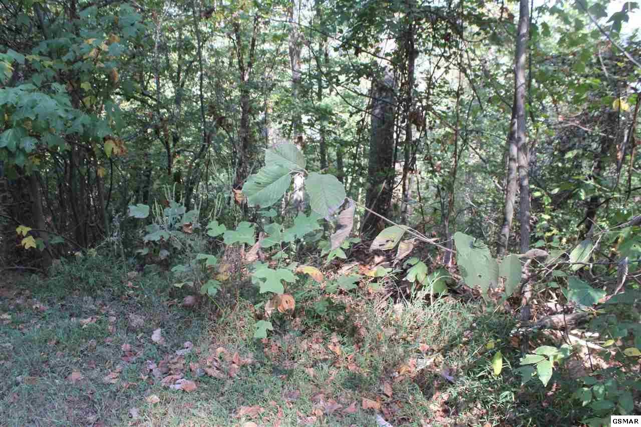 0 Wilderness Mountain Road Sevierville, TN 37862 - Photo 2 of 7 Gallery Image 2