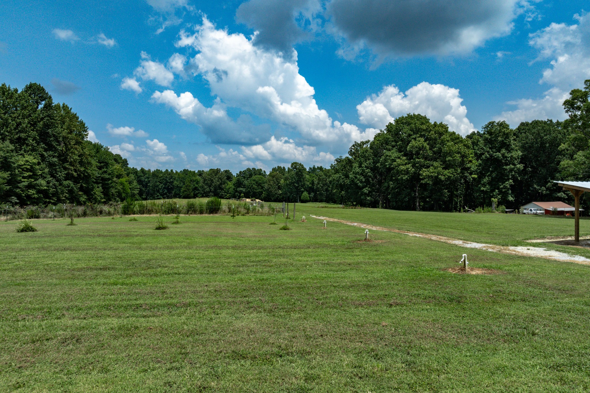 3812 Rhea Branch Road Ethridge, TN 38456 - Photo 79 of 95 Gallery Image 79