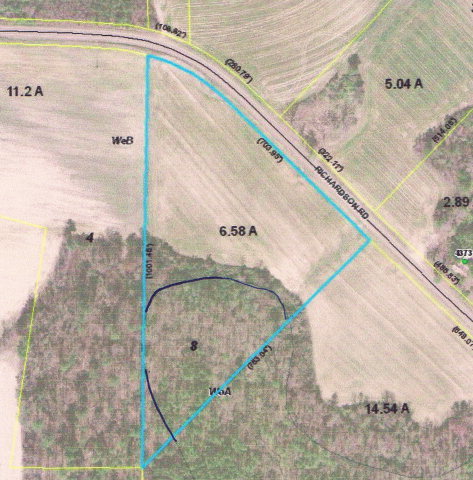Tbd Tbd Tbd Richardson Road Spring Spring Spring Hope, NC 27882 - Photo 3 of 3 Additional Photo